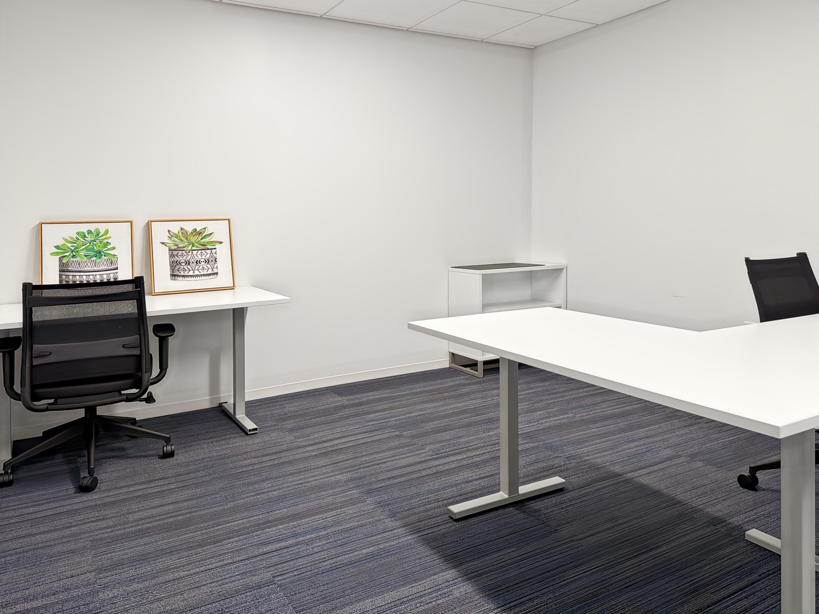 Private Office To Rent, Washington DC, 20024 – photo 3
