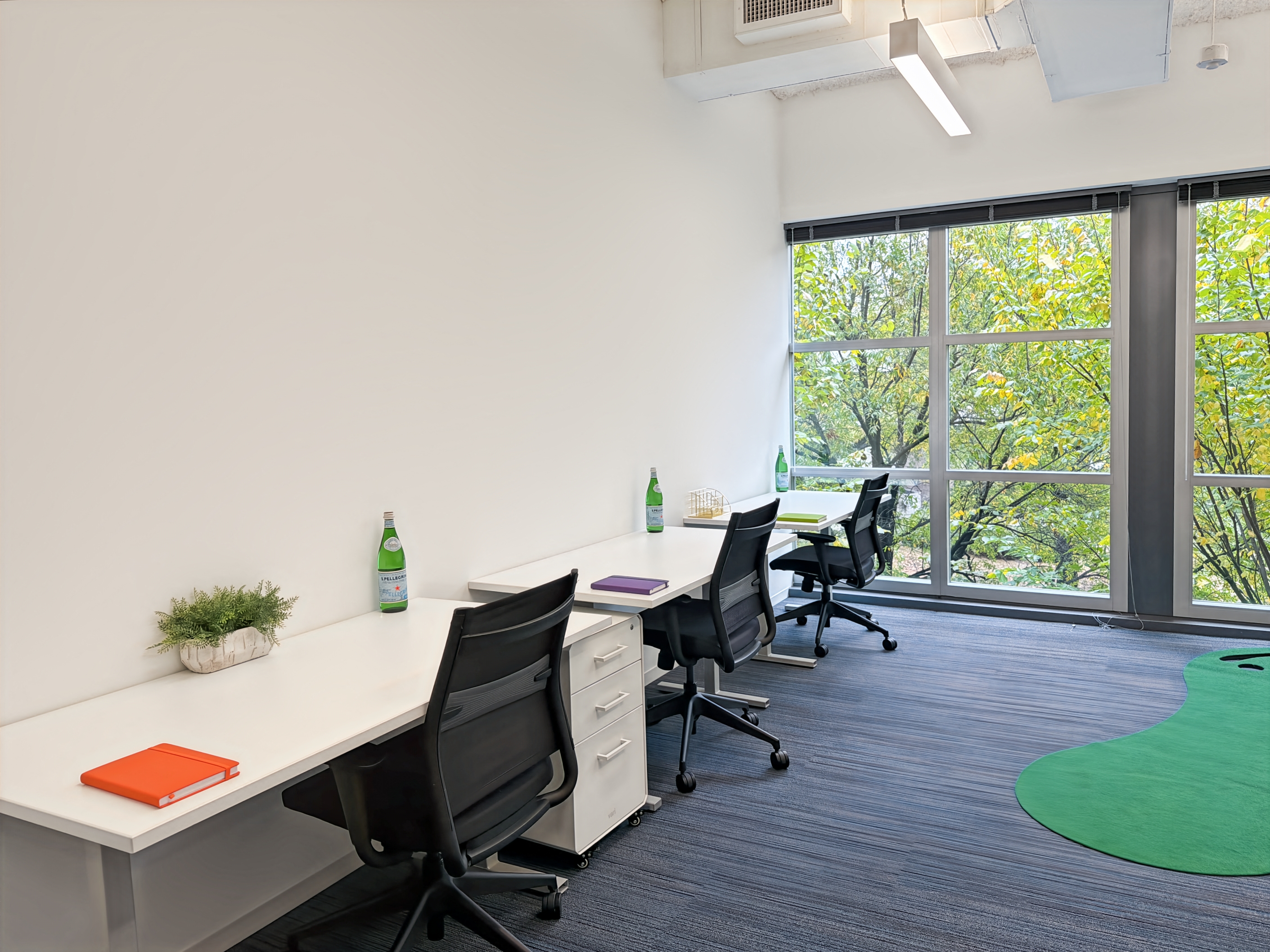 Private Office To Rent, Washington DC, 20024 – photo 2