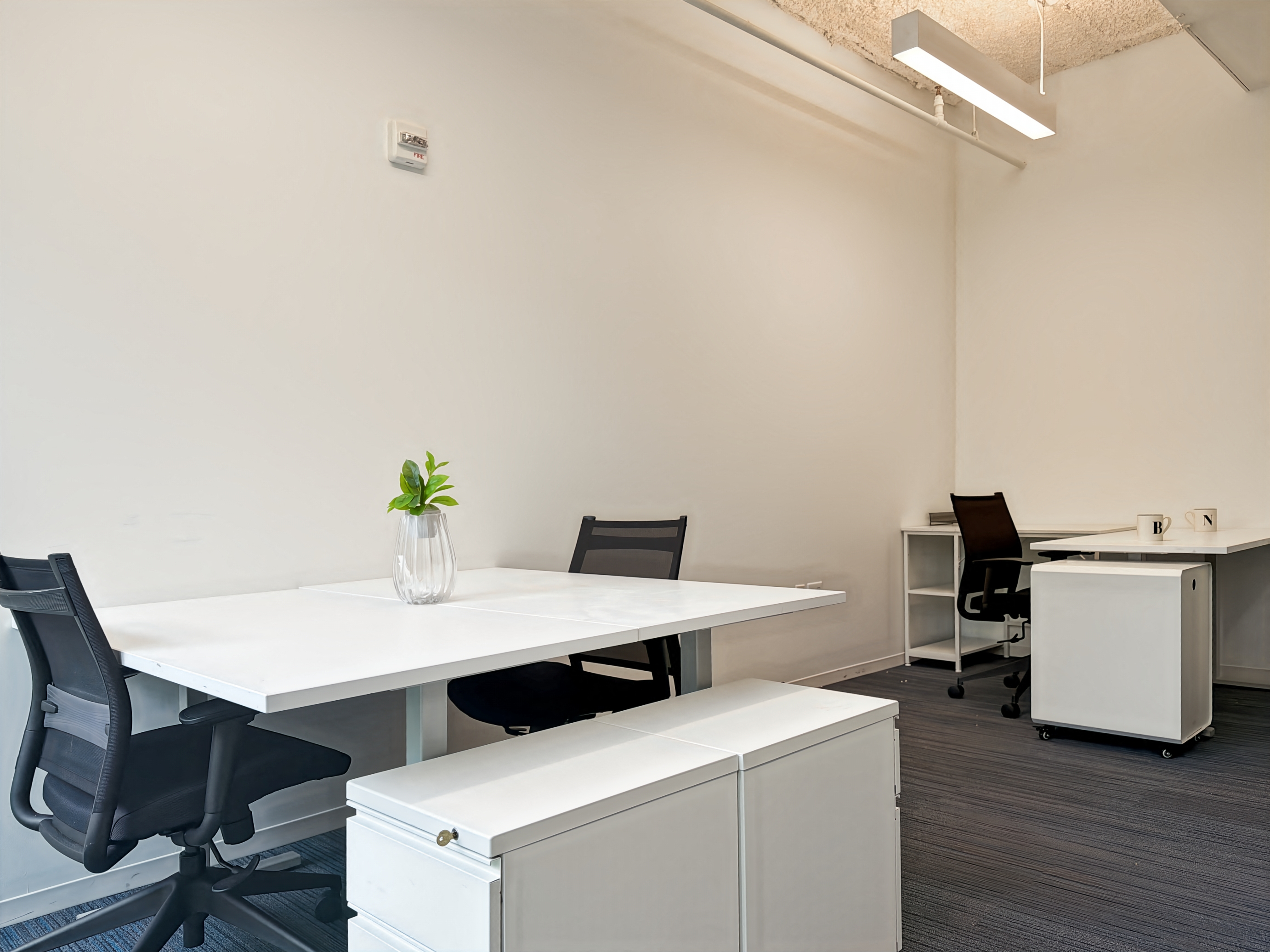Private Office To Rent, Washington DC, 20024 – photo 4