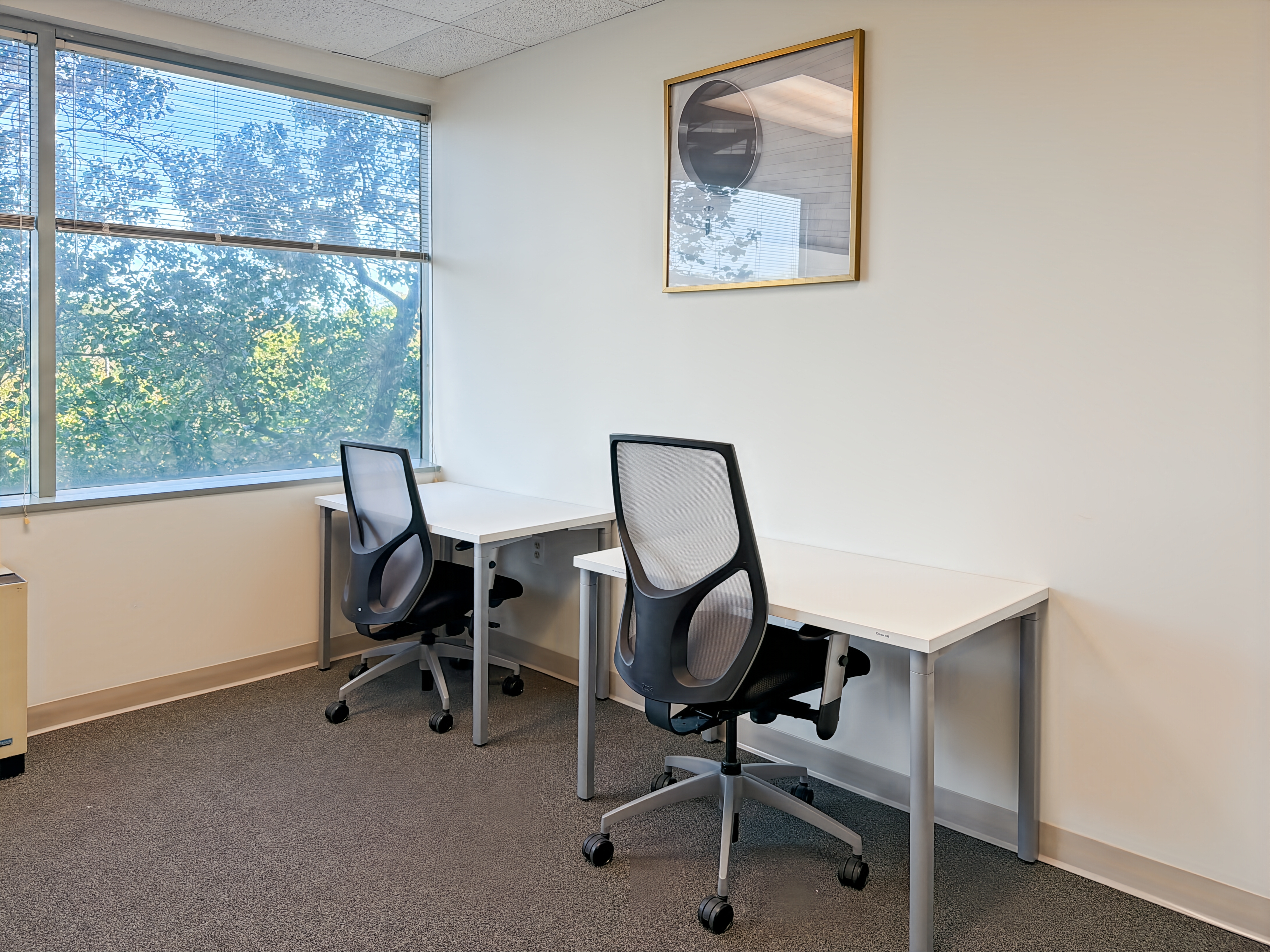 Private Office To Rent, Beltsville, 20705 – photo 4