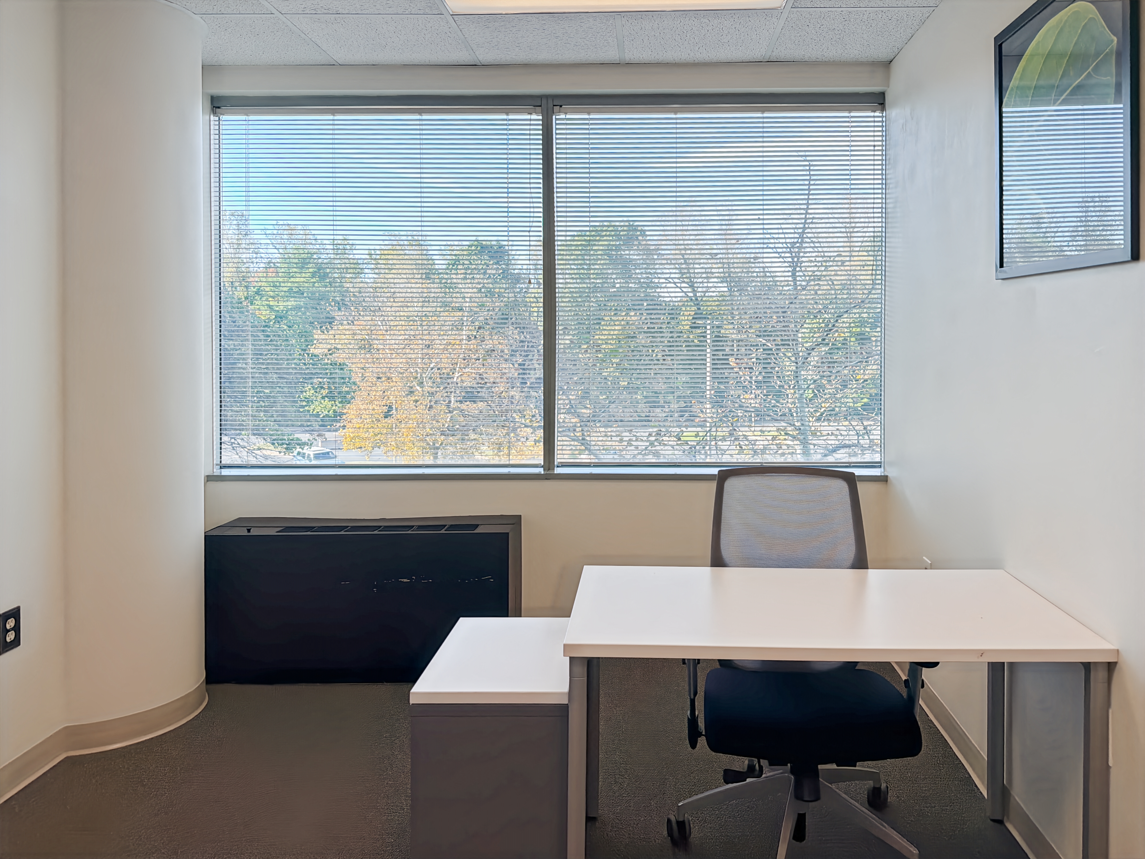 Private Office To Rent, Beltsville, 20705 – photo 5