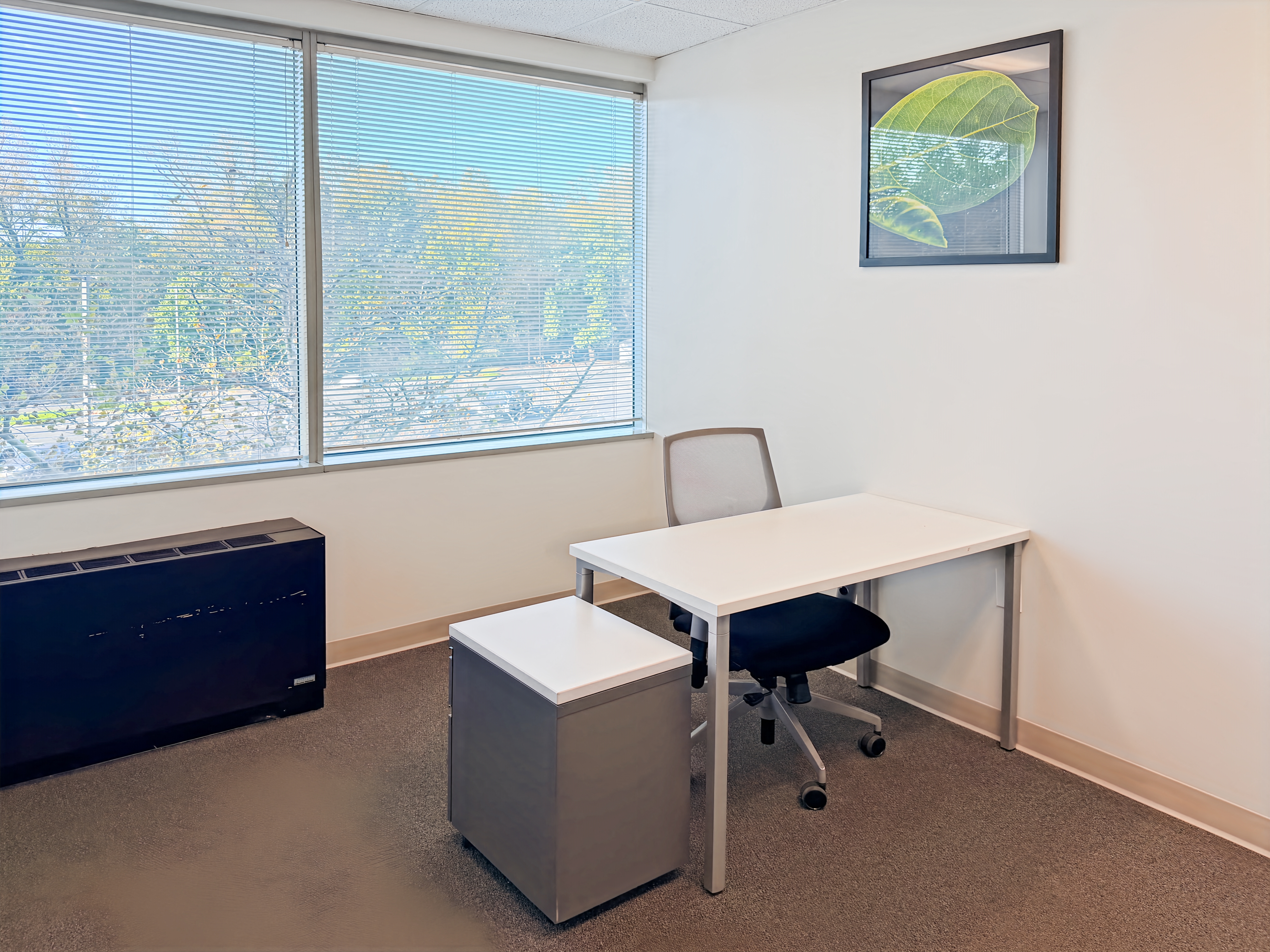 Private Office To Rent, Beltsville, 20705 – photo 3
