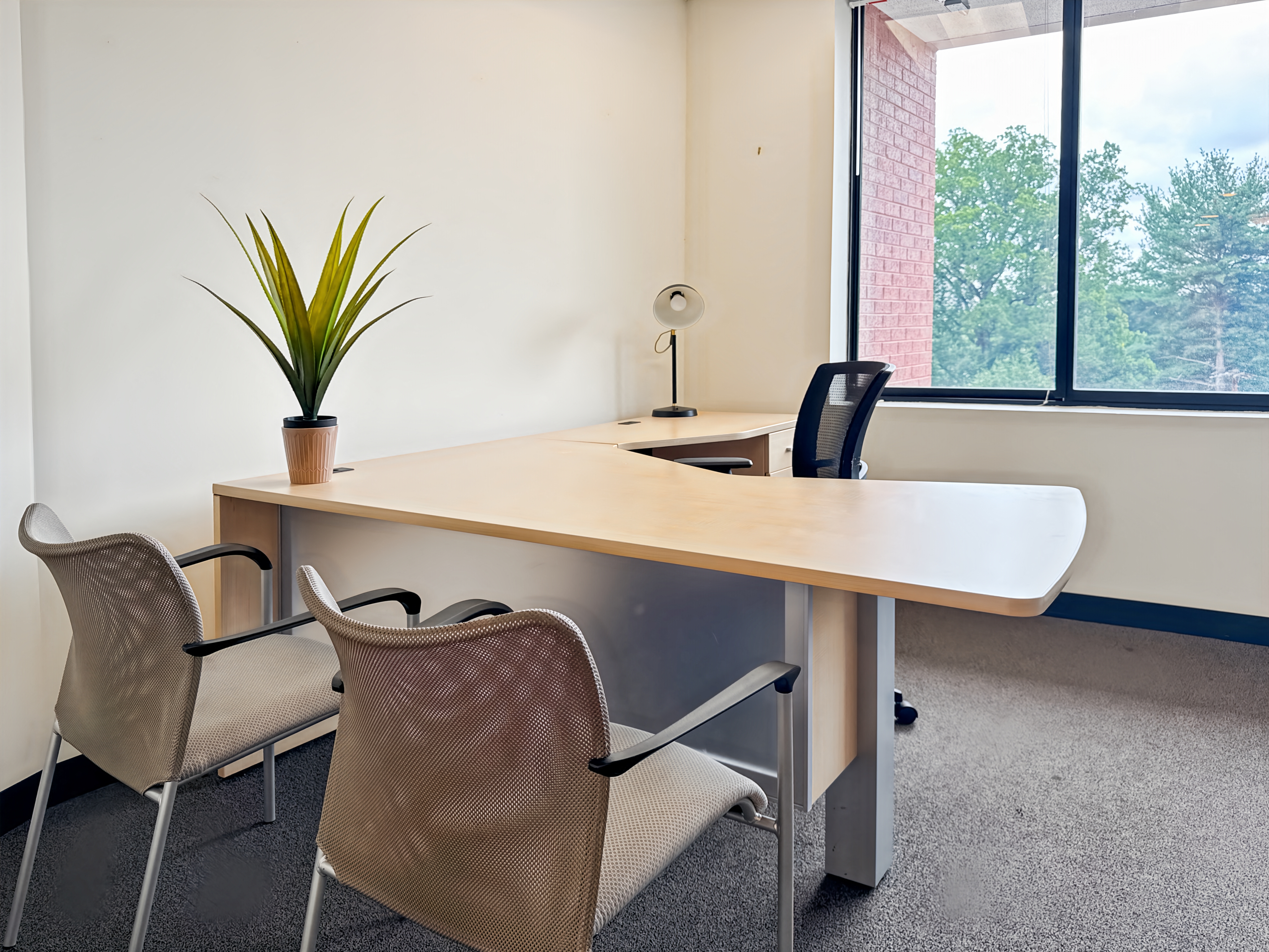 Private Office To Rent, Bethesda, 20814 – photo 5