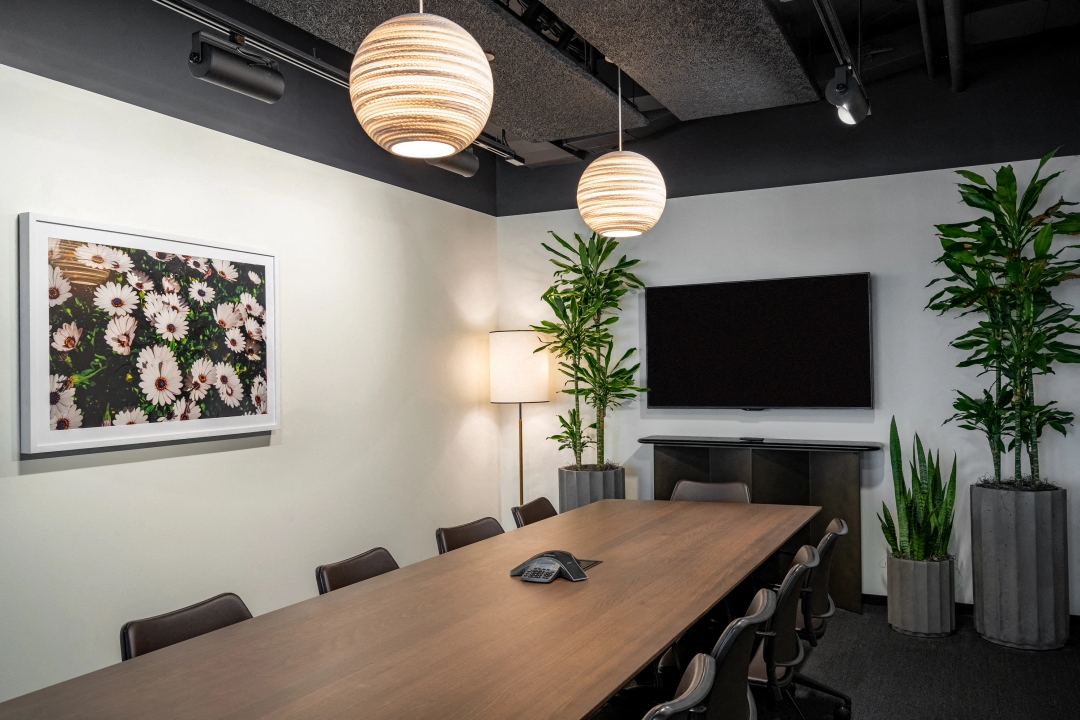 Private Office To Rent, Tysons, 22102 – photo 6