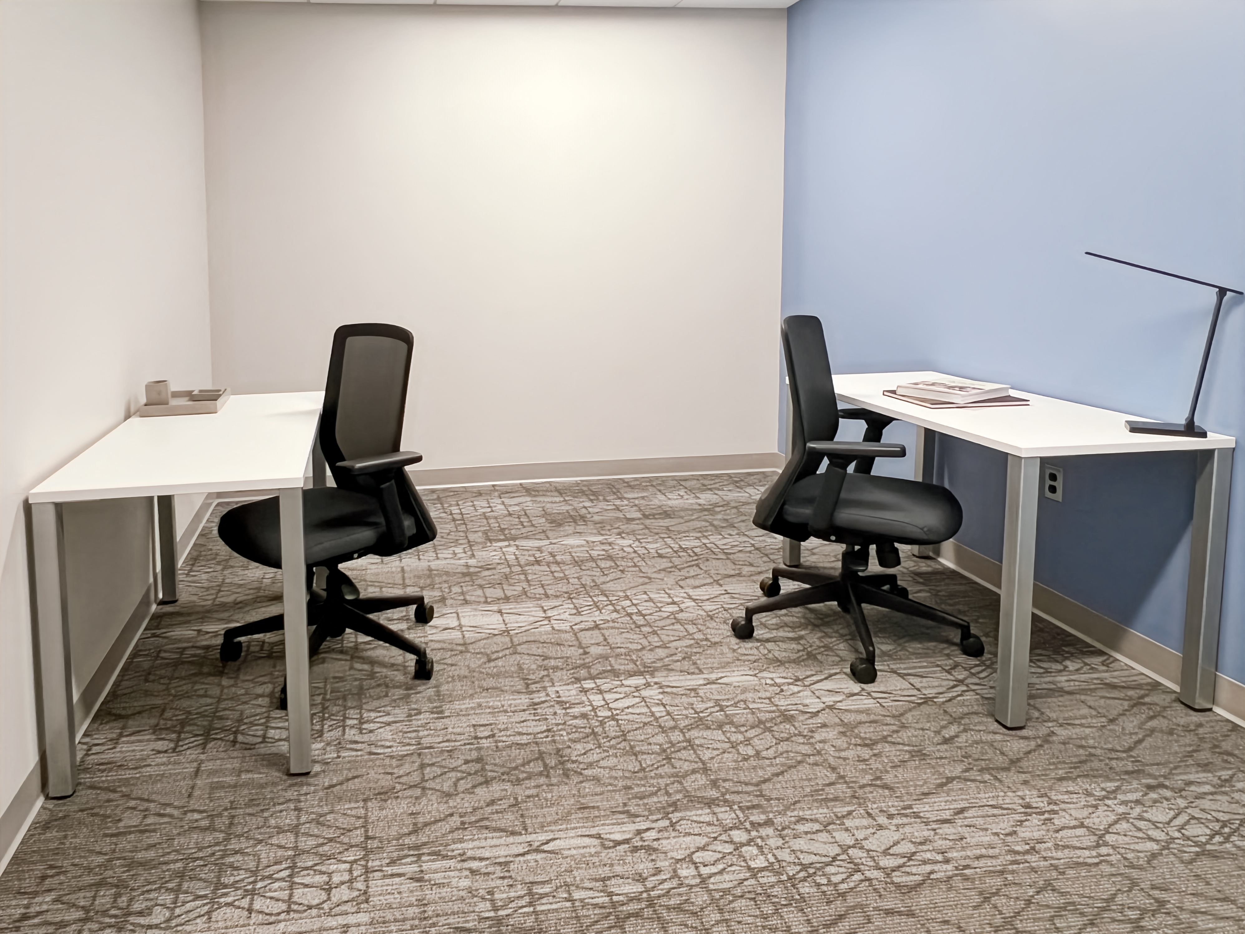 Private Office To Rent, Northern Virginia, 22303 – photo 4