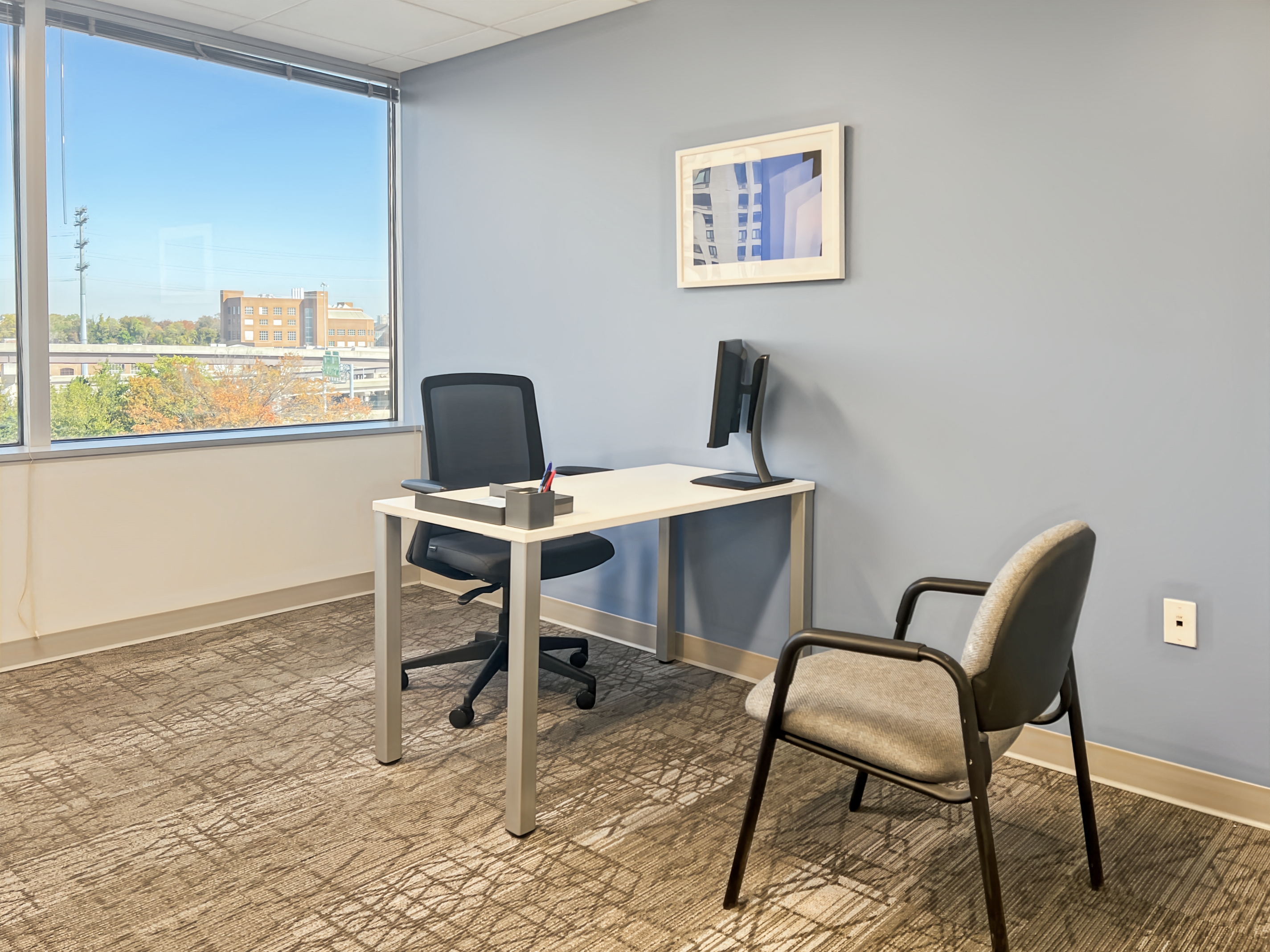 Private Office To Rent, Northern Virginia, 22303 – photo 3