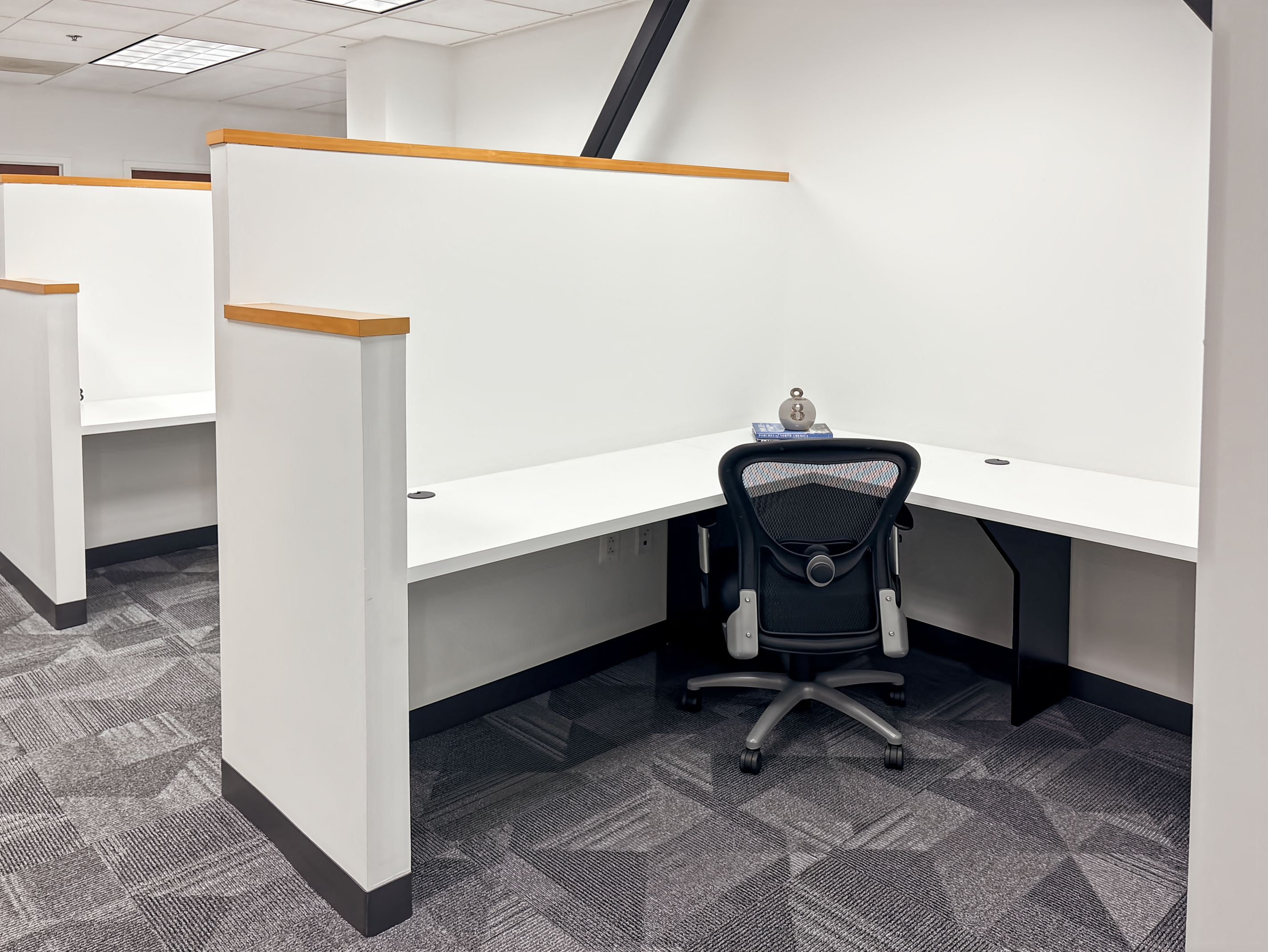 Private Office To Rent, Northern Virginia, 20147 – photo 3
