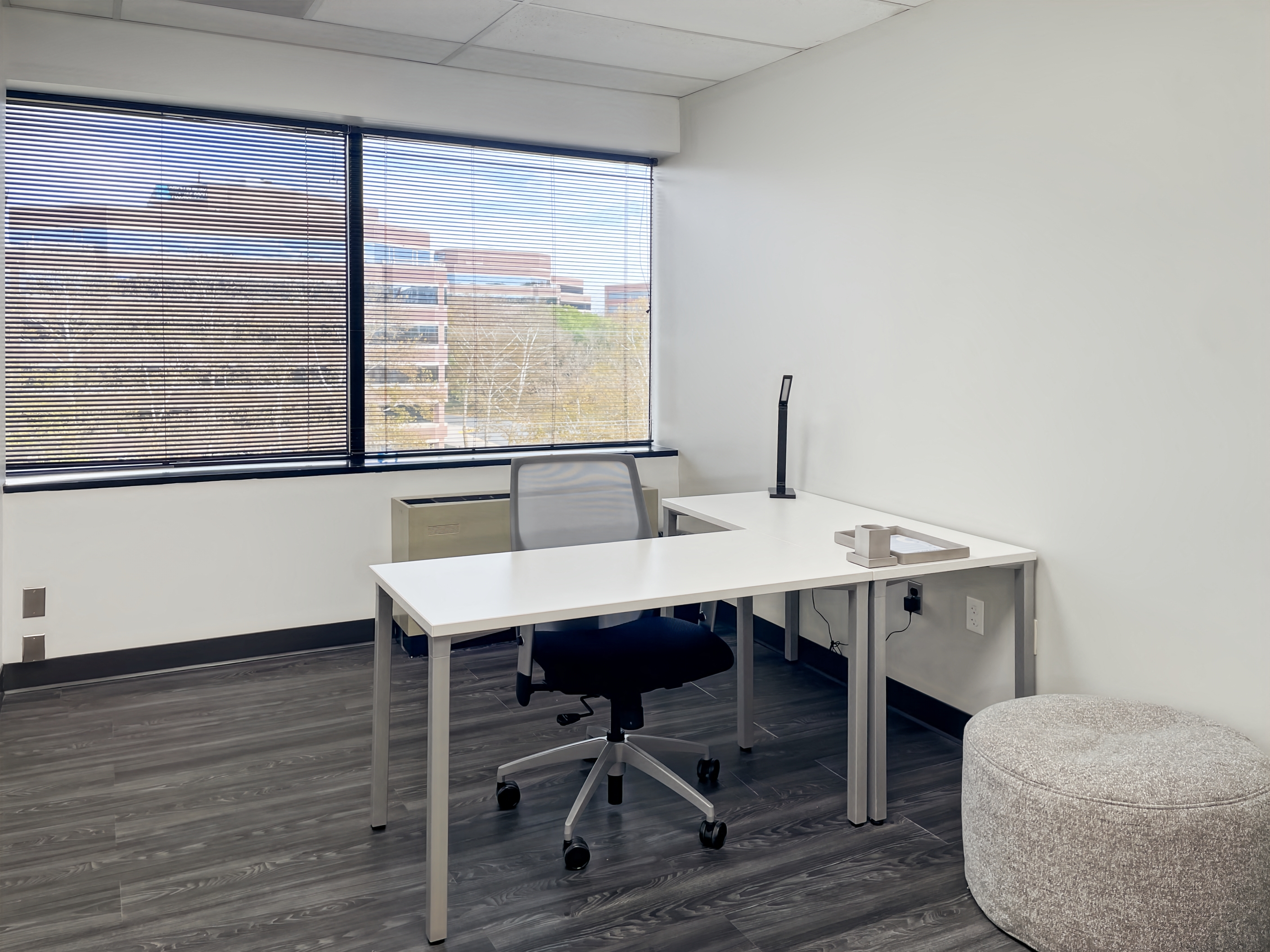 Private Office To Rent, Reston, 20191 – photo 4