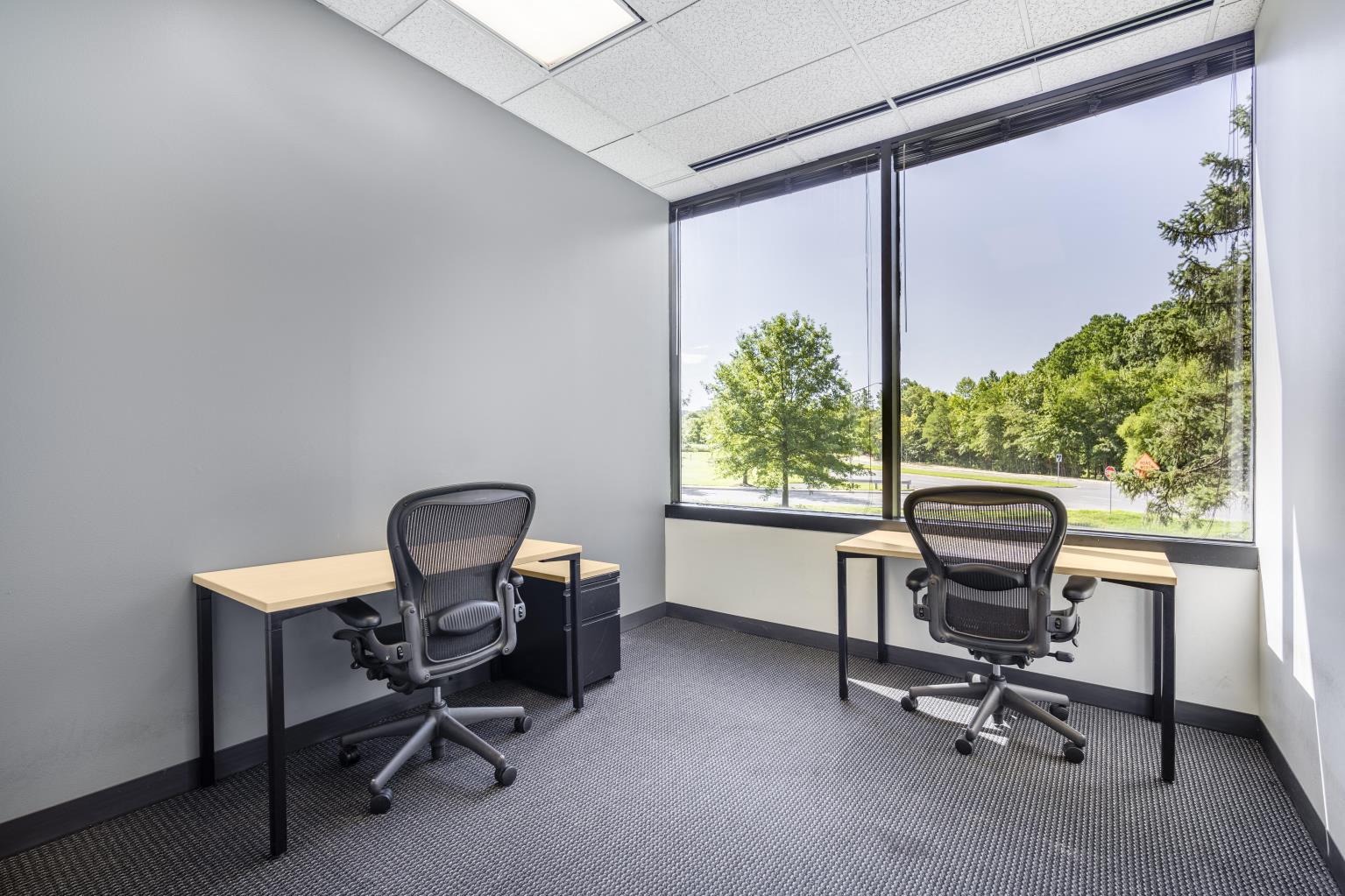 Private Office To Rent, Reston, 20191 – photo 5