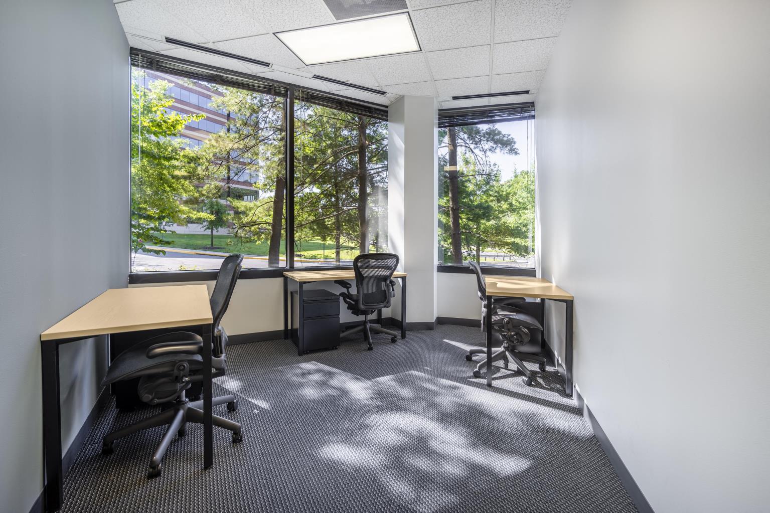Private Office To Rent, Reston, 20191 – photo 3