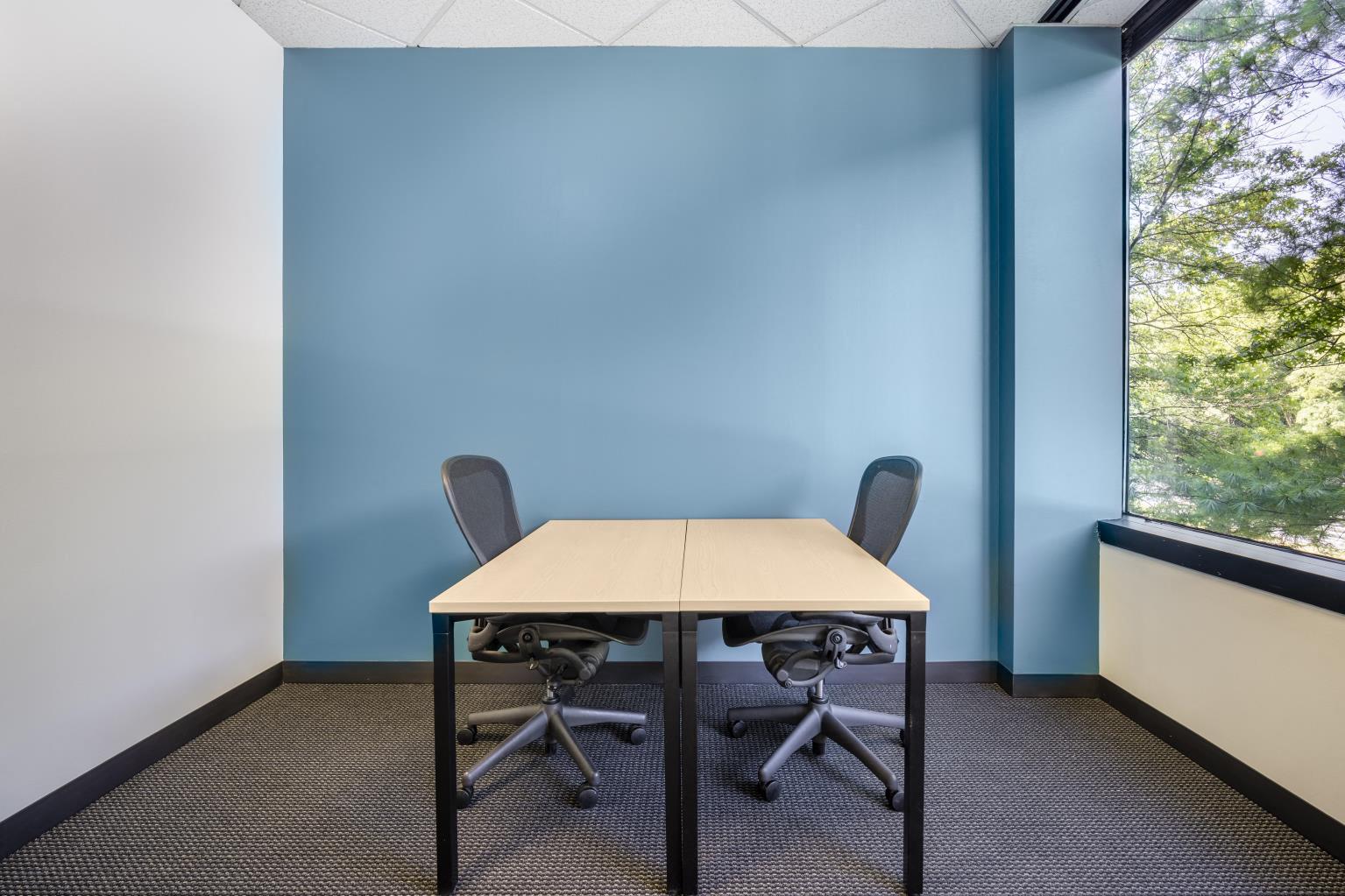 Private Office To Rent, Reston, 20191 – photo 6