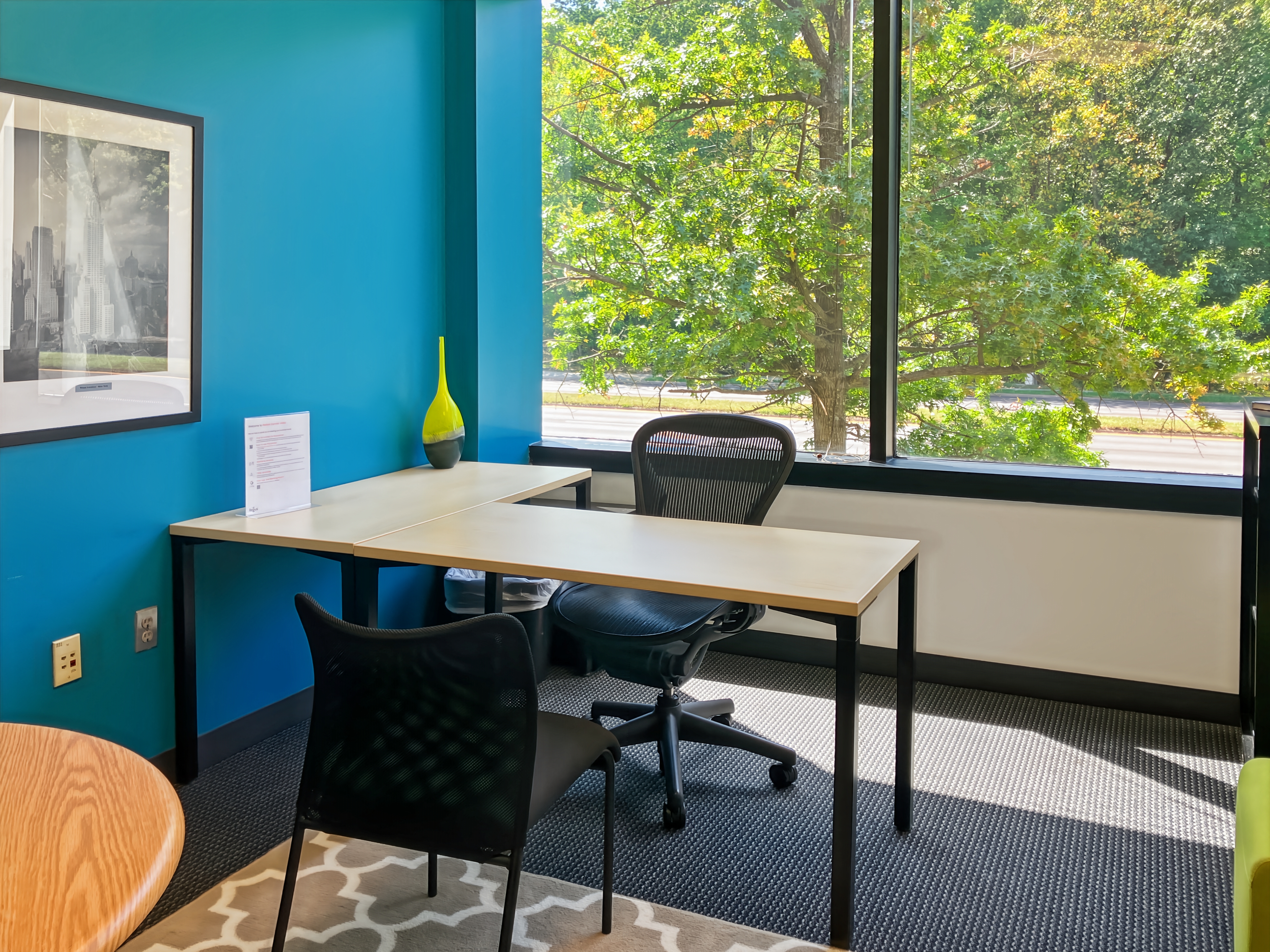 Private Office To Rent, Reston, 20191 – photo 2