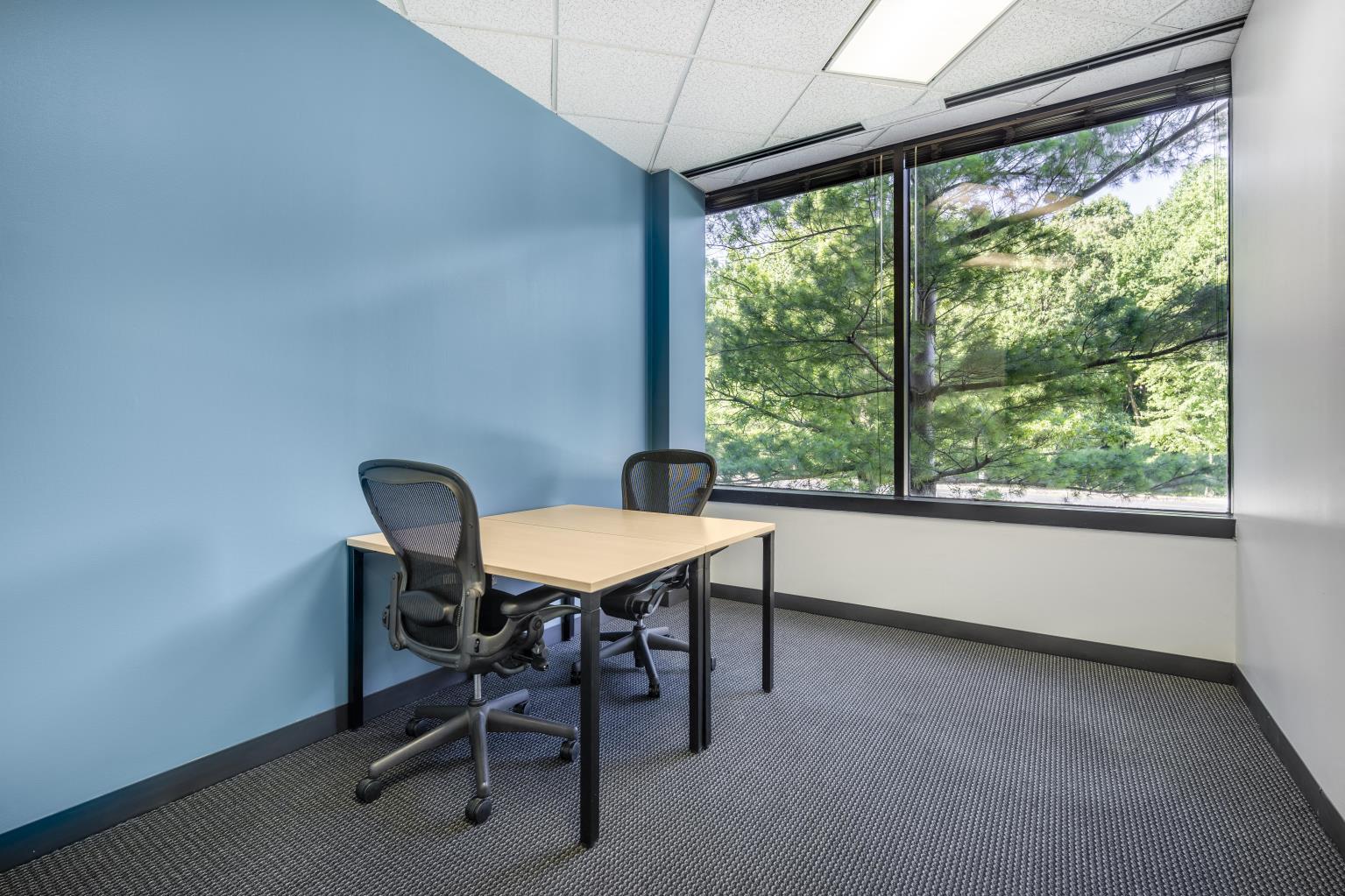 Private Office To Rent, Reston, 20191 – photo 4