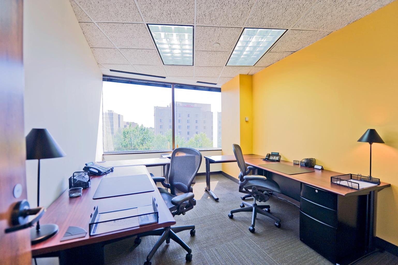 Private Office To Rent, Tysons, 22182 – photo 1