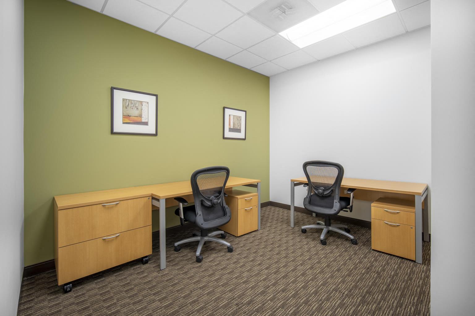 Private Office To Rent, Northern Virginia, 20147 – photo 1