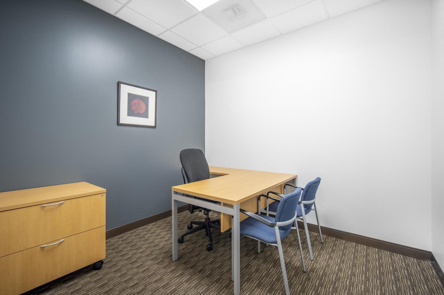 Private Office To Rent, Northern Virginia, 20147 – photo 2