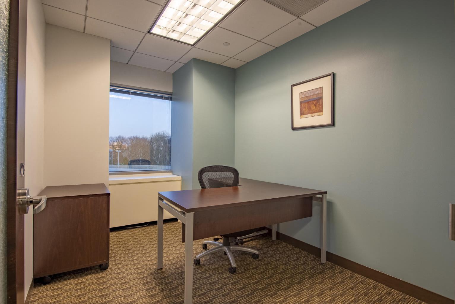 Private Office To Rent, Northern Virginia, 22031 – photo 3