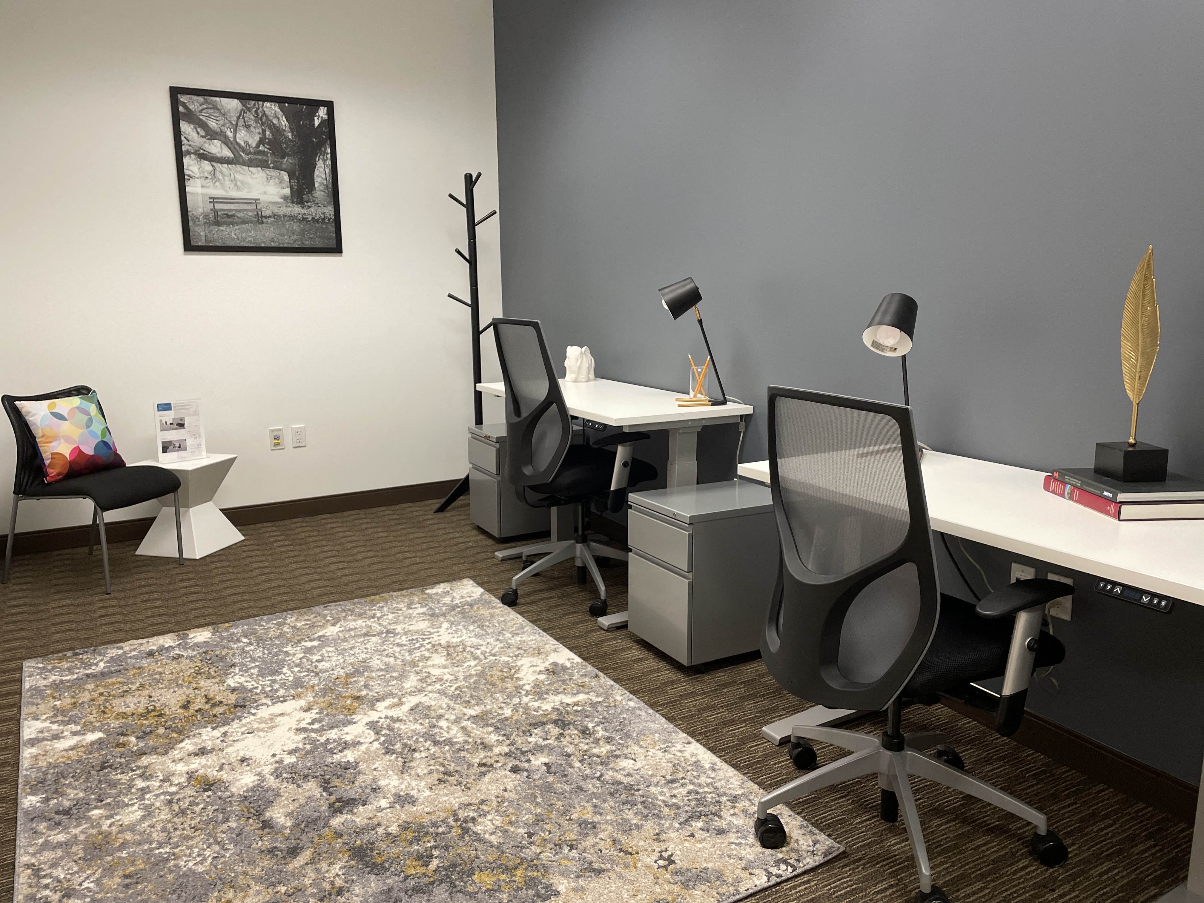 Private Office To Rent, Northern Virginia, 20171 – photo 4