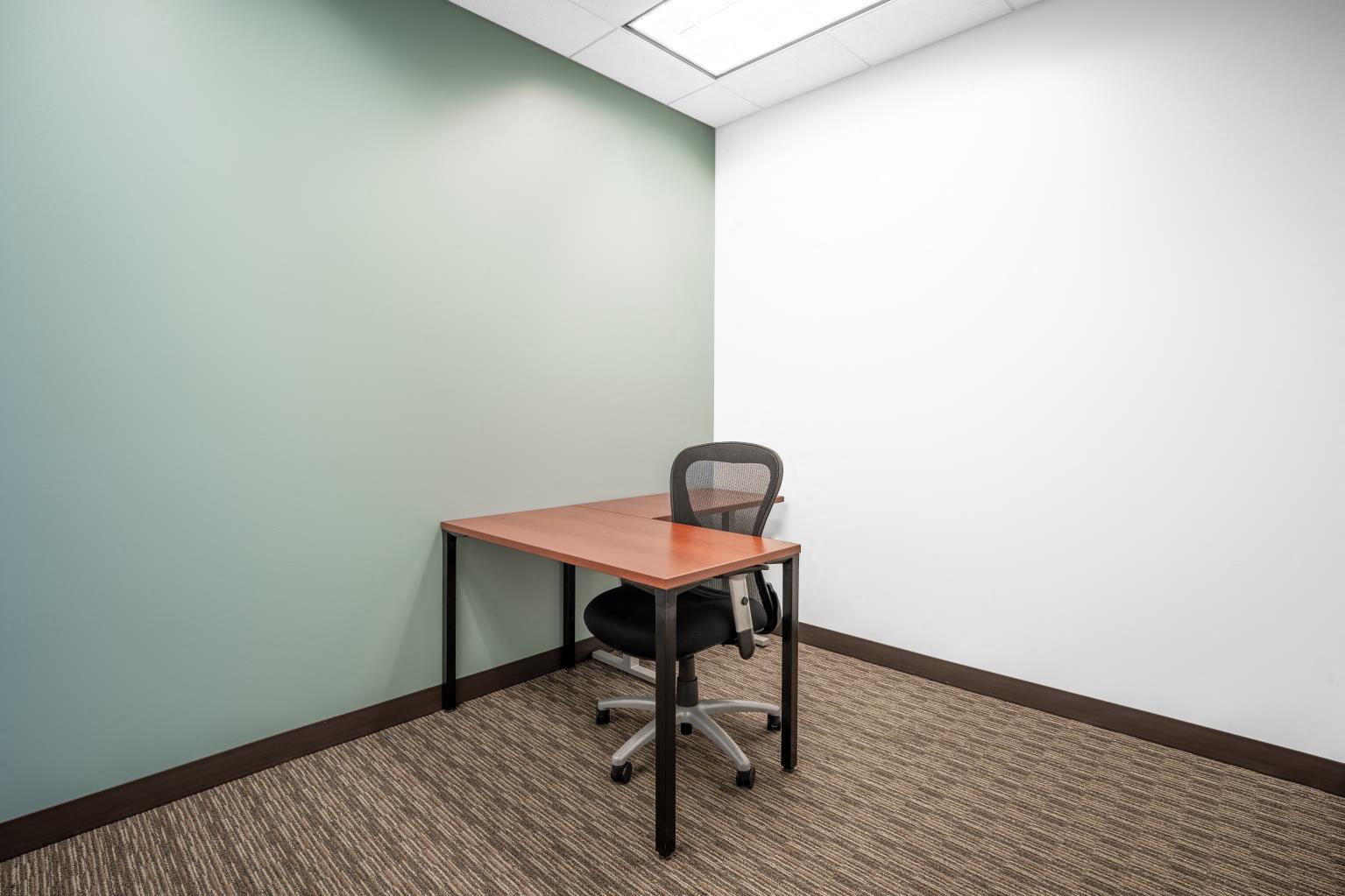 Private Office To Rent, Northern Virginia, 22315 – photo 2