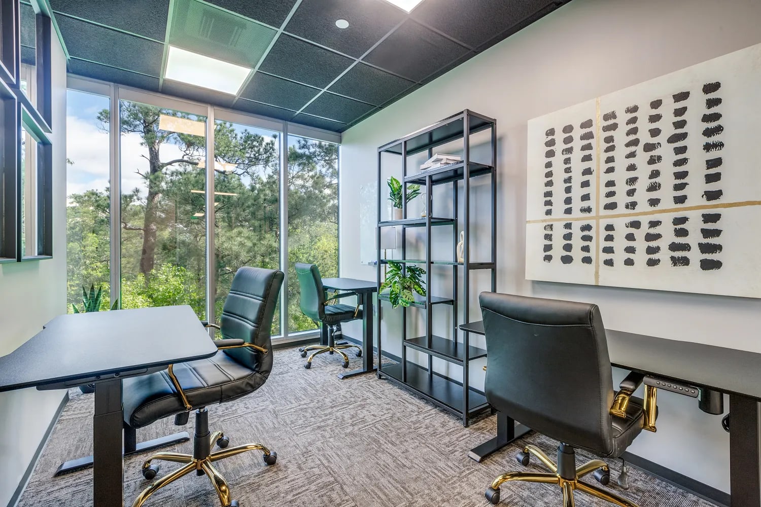 Private Office To Rent, Houston, 77380 – photo 3