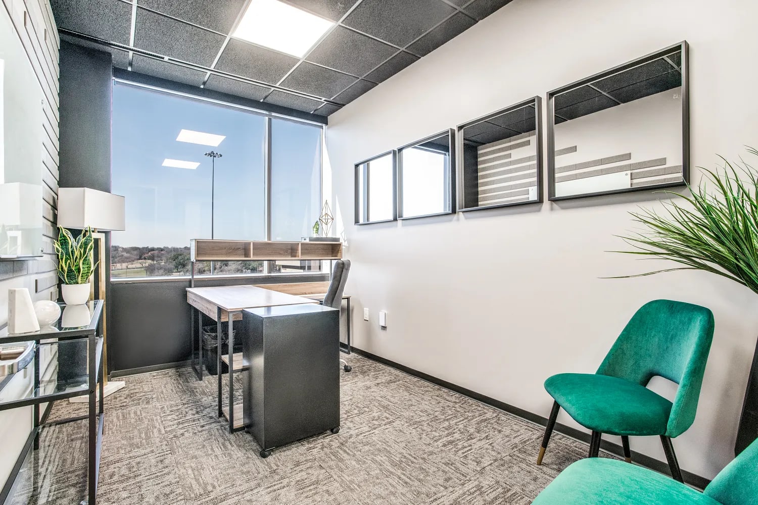 Private Office To Rent, Houston, 77046 – photo 2