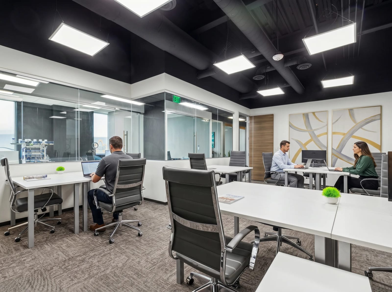 Private Office To Rent, Houston, 77046 – photo 3