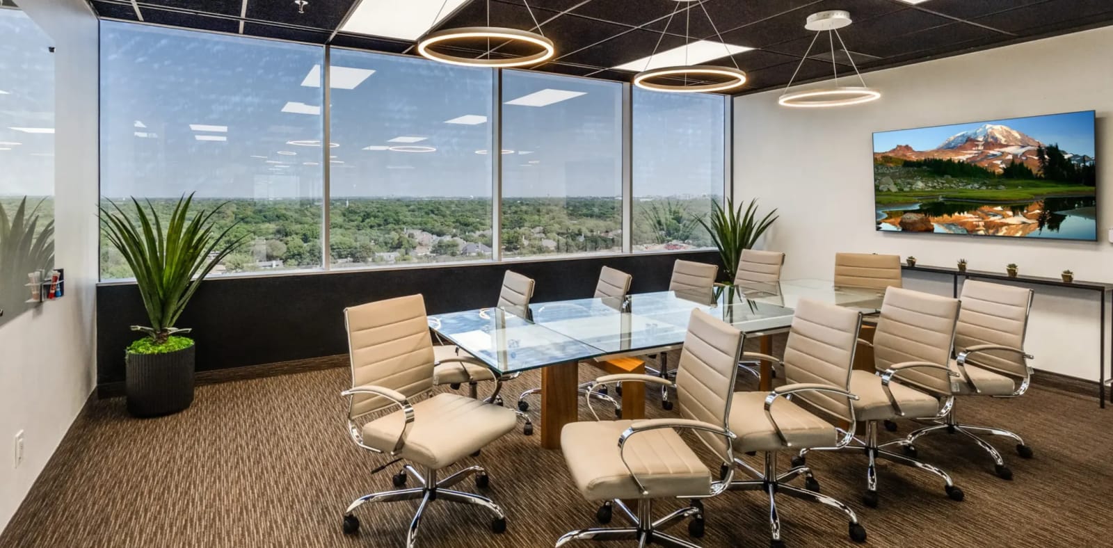 Private Office To Rent, Dallas, 75234 – photo 4
