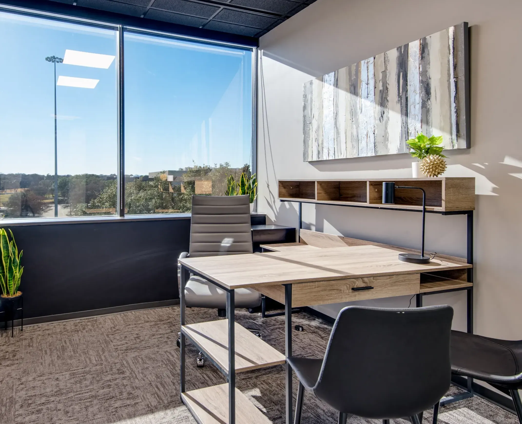 Private Office To Rent, Dallas, 75062 – photo 5