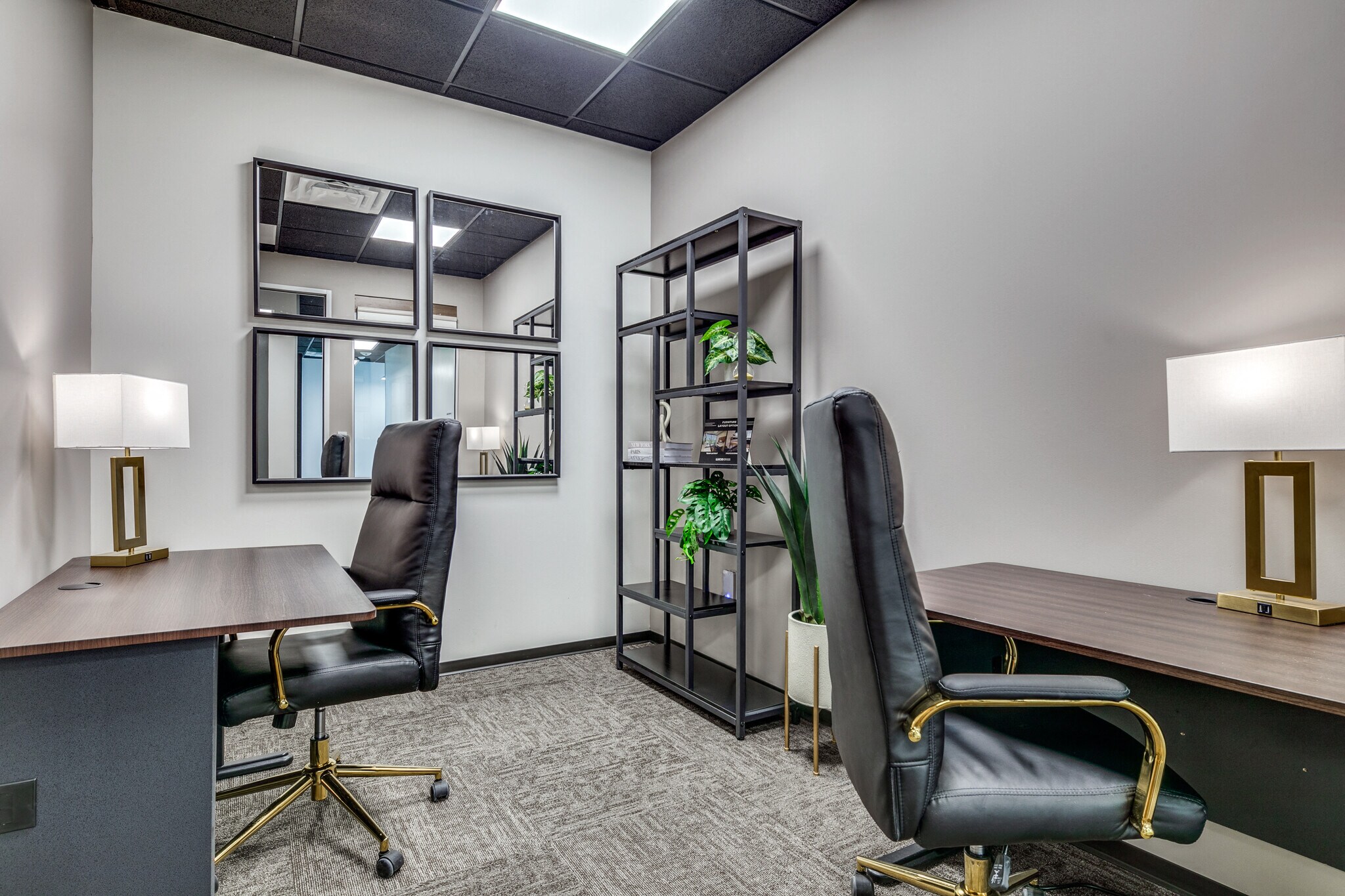 Private Office To Rent, Dallas, 75093 – photo 4