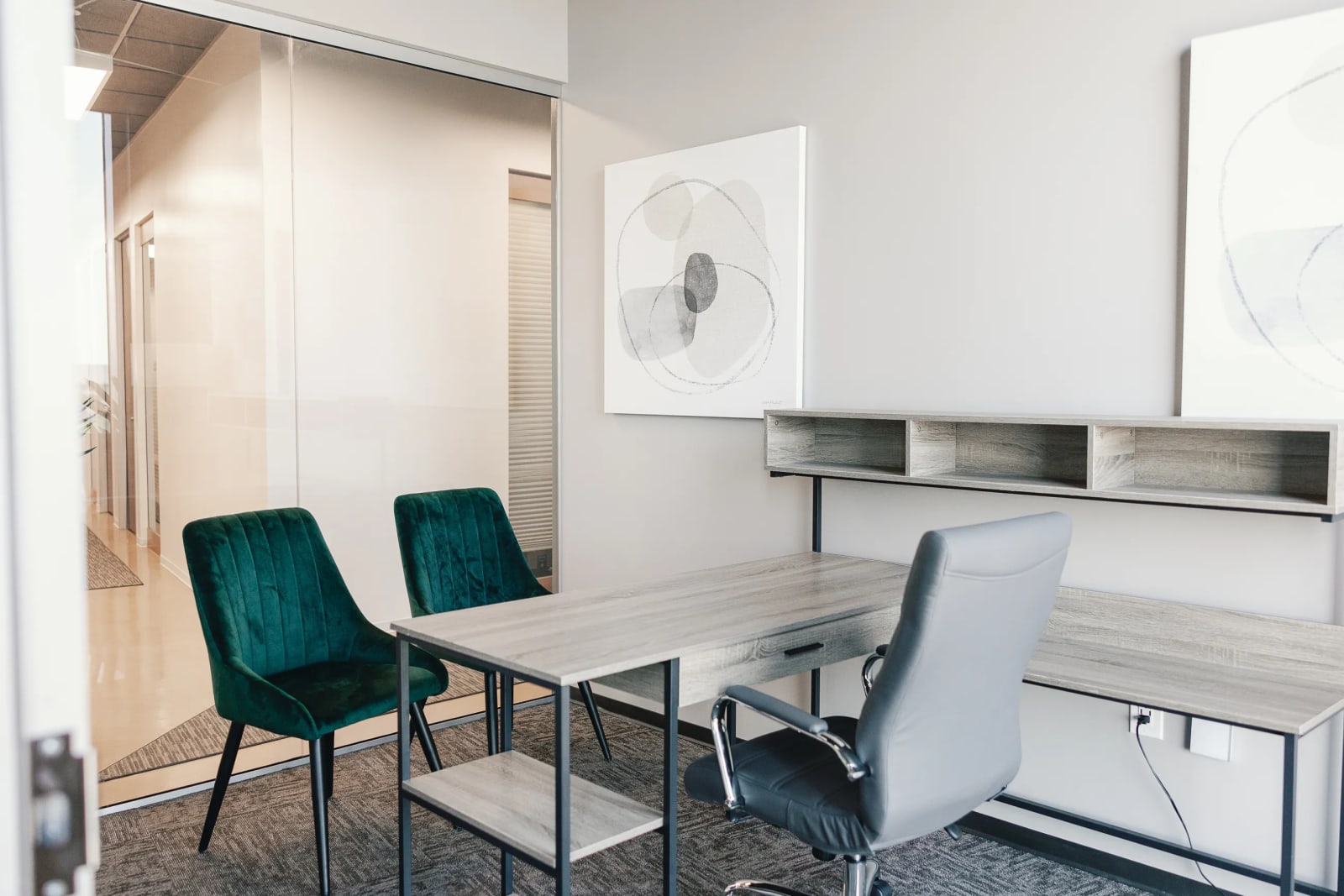 Private Office To Rent, Dallas, 75070 – photo 3