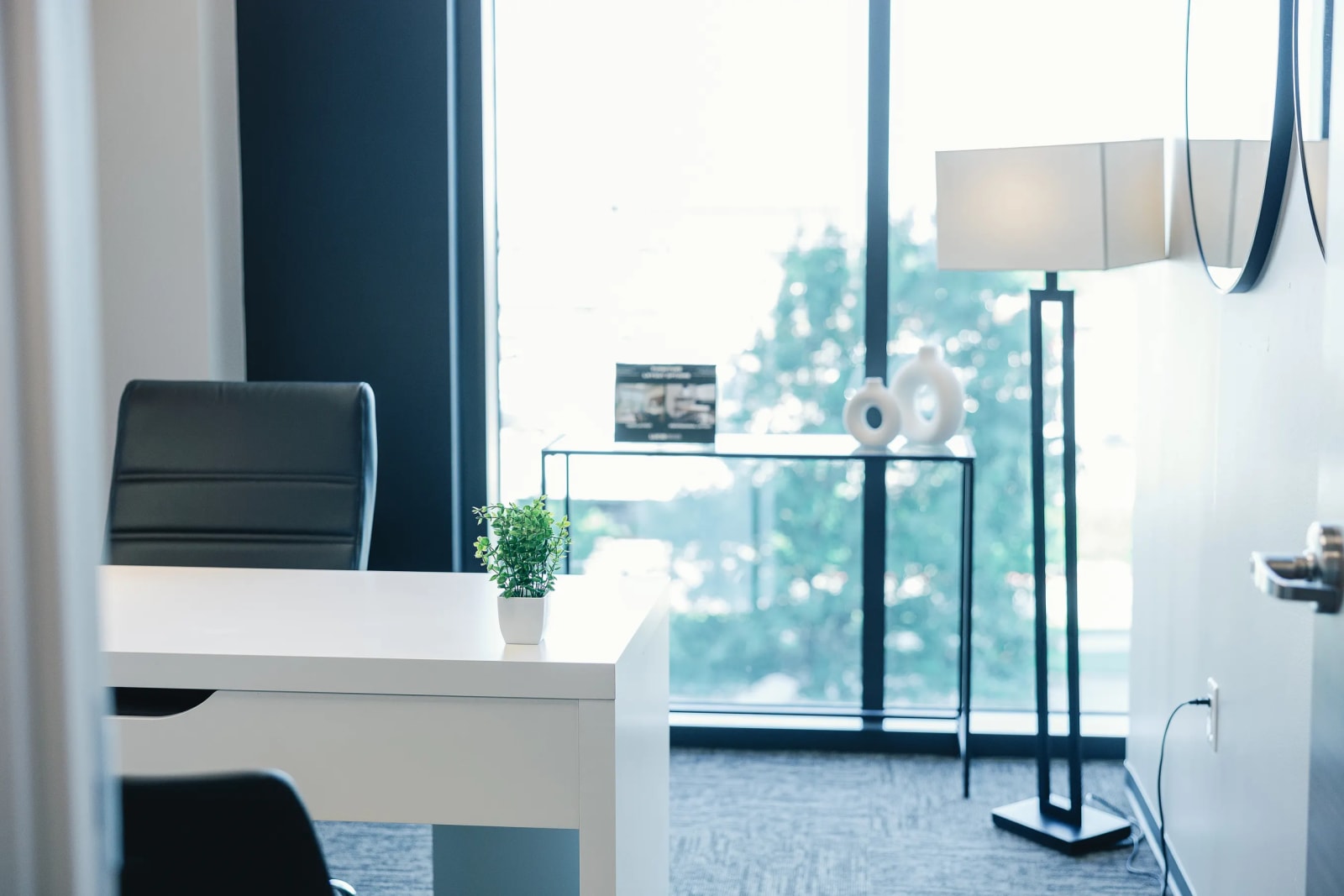 Private Office To Rent, Dallas, 75070 – photo 5