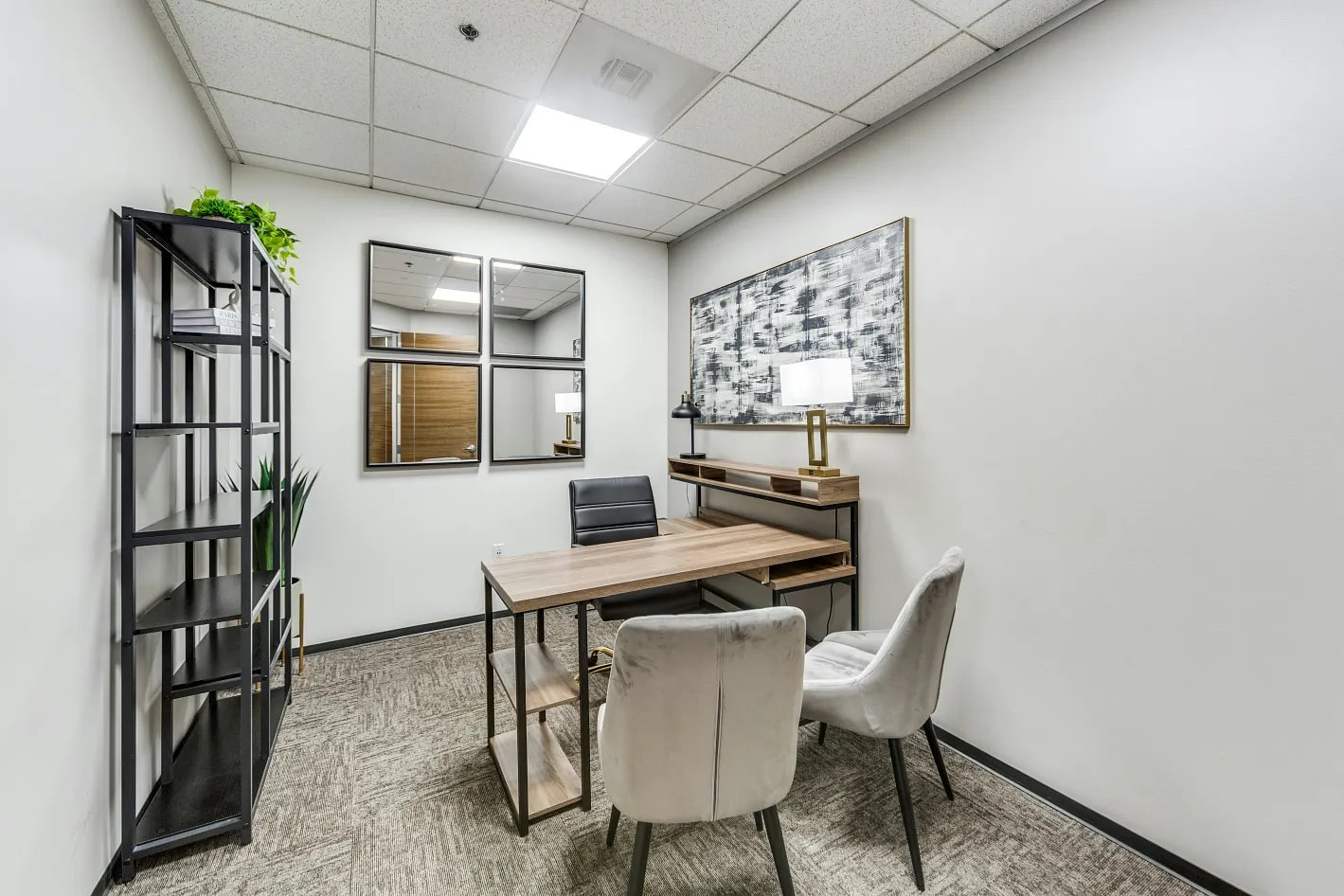 Private Office To Rent, Dallas, 77478 – photo 5
