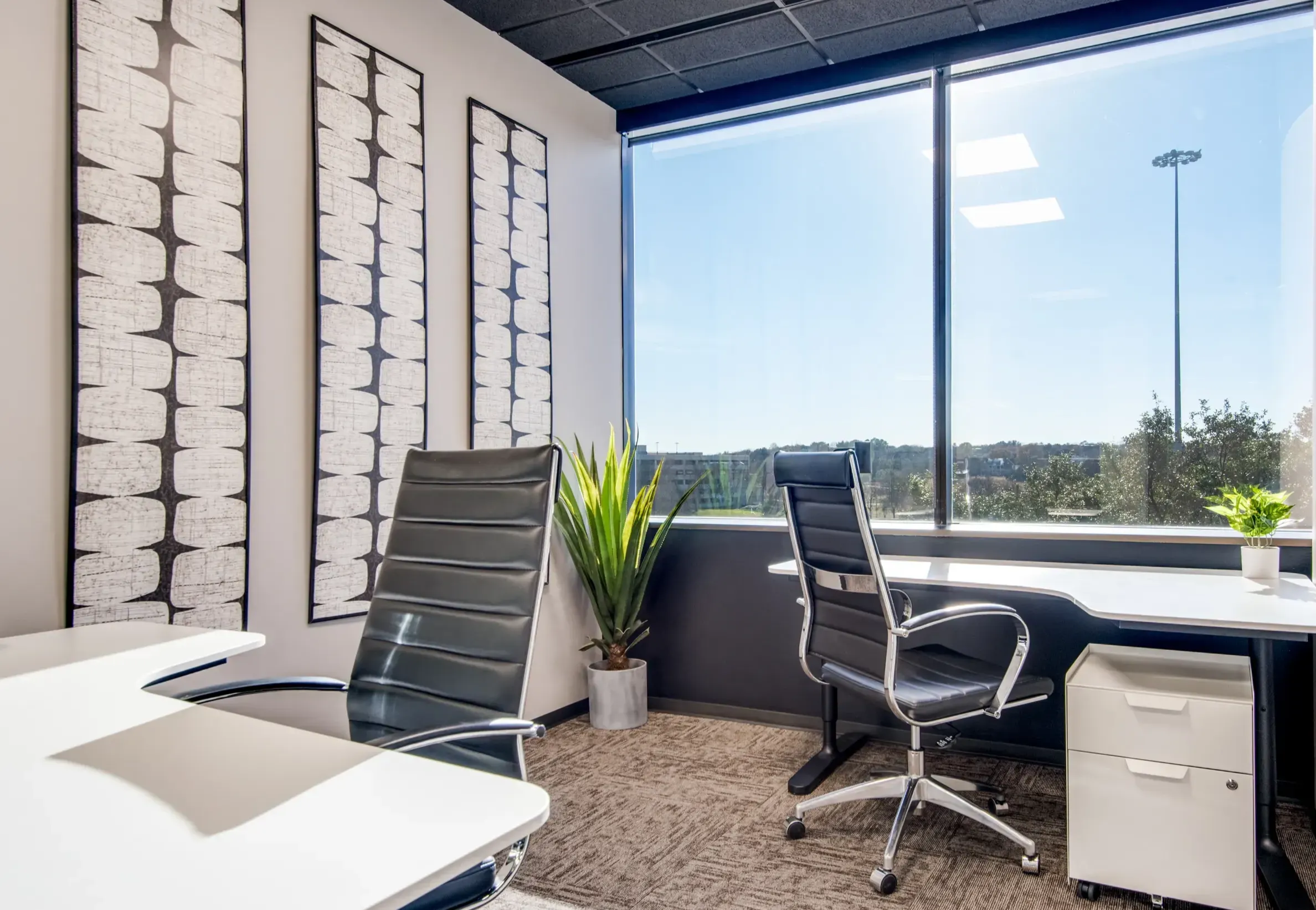 Private Office To Rent, Dallas, 75240 – photo 6