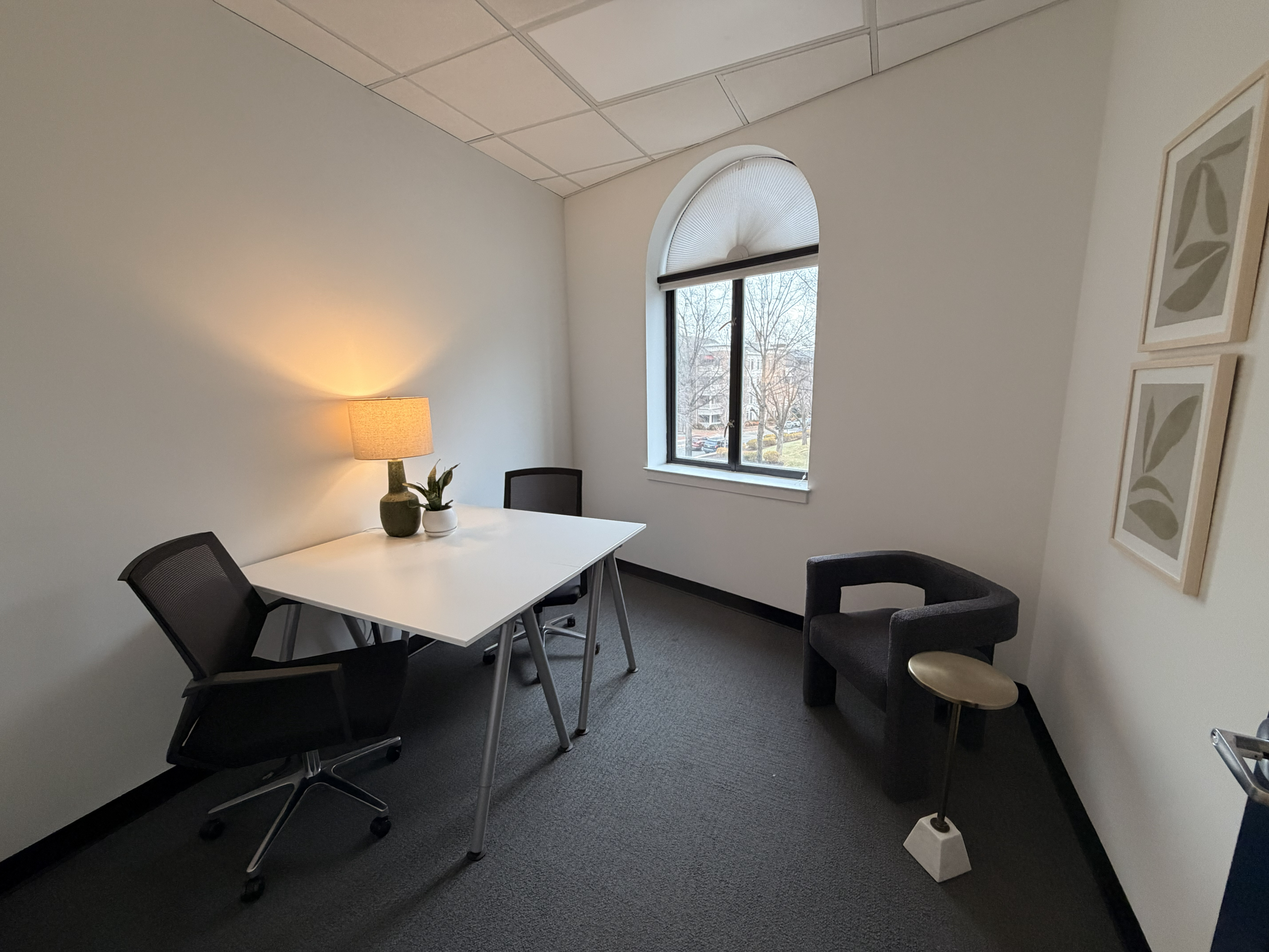 Private Office To Rent, Alexandria, 22314 – photo 4