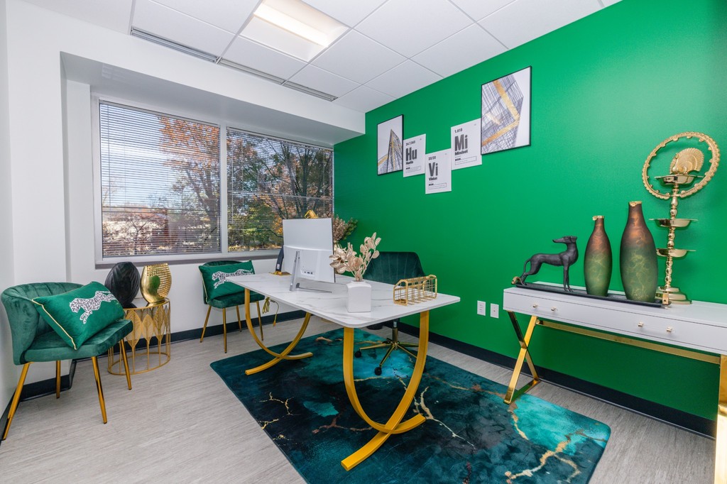 Private Office To Rent, Washington DC Metropolitan Area, 20879 – photo 1