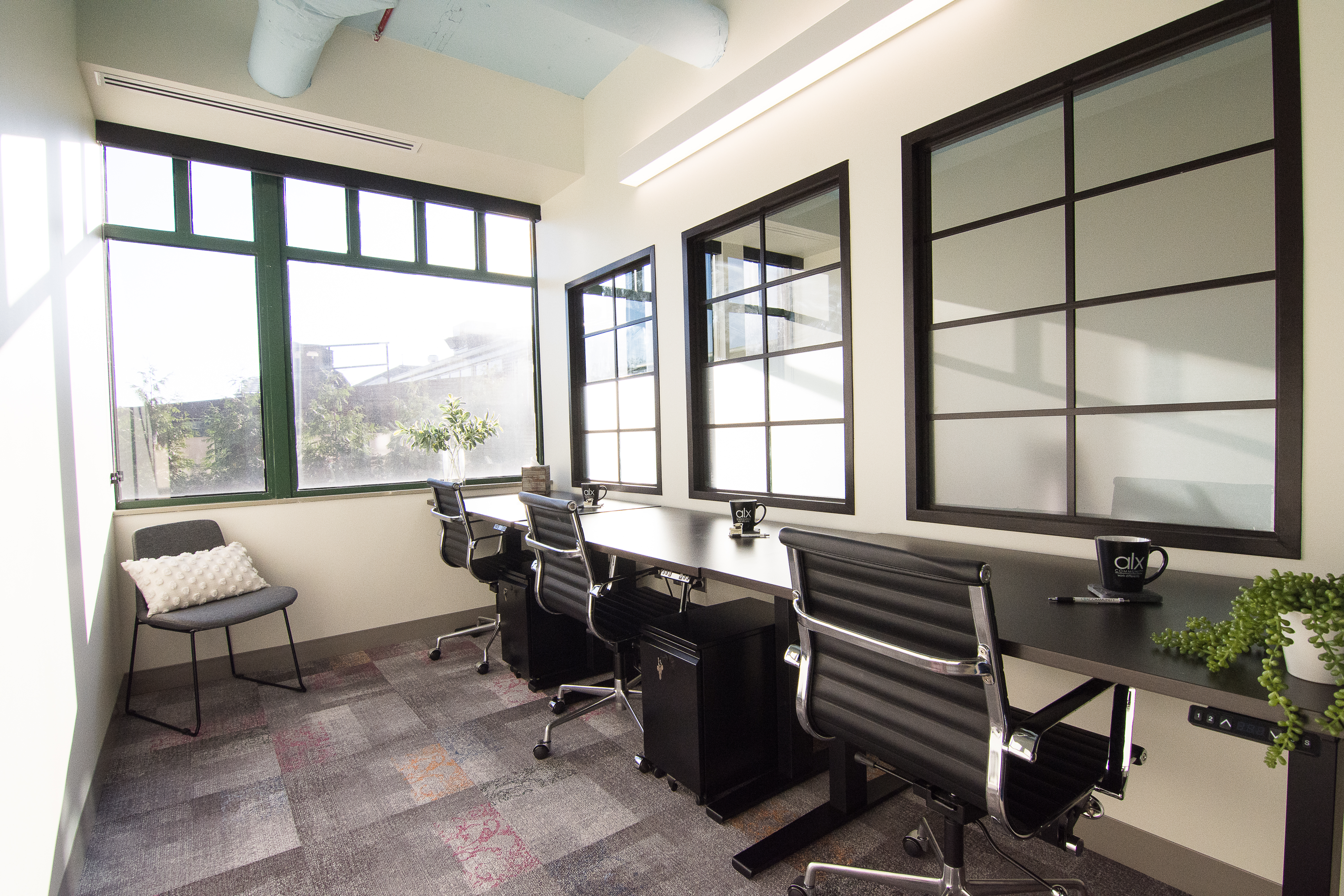 Private Office To Rent, Alexandria, 22314 – photo 2