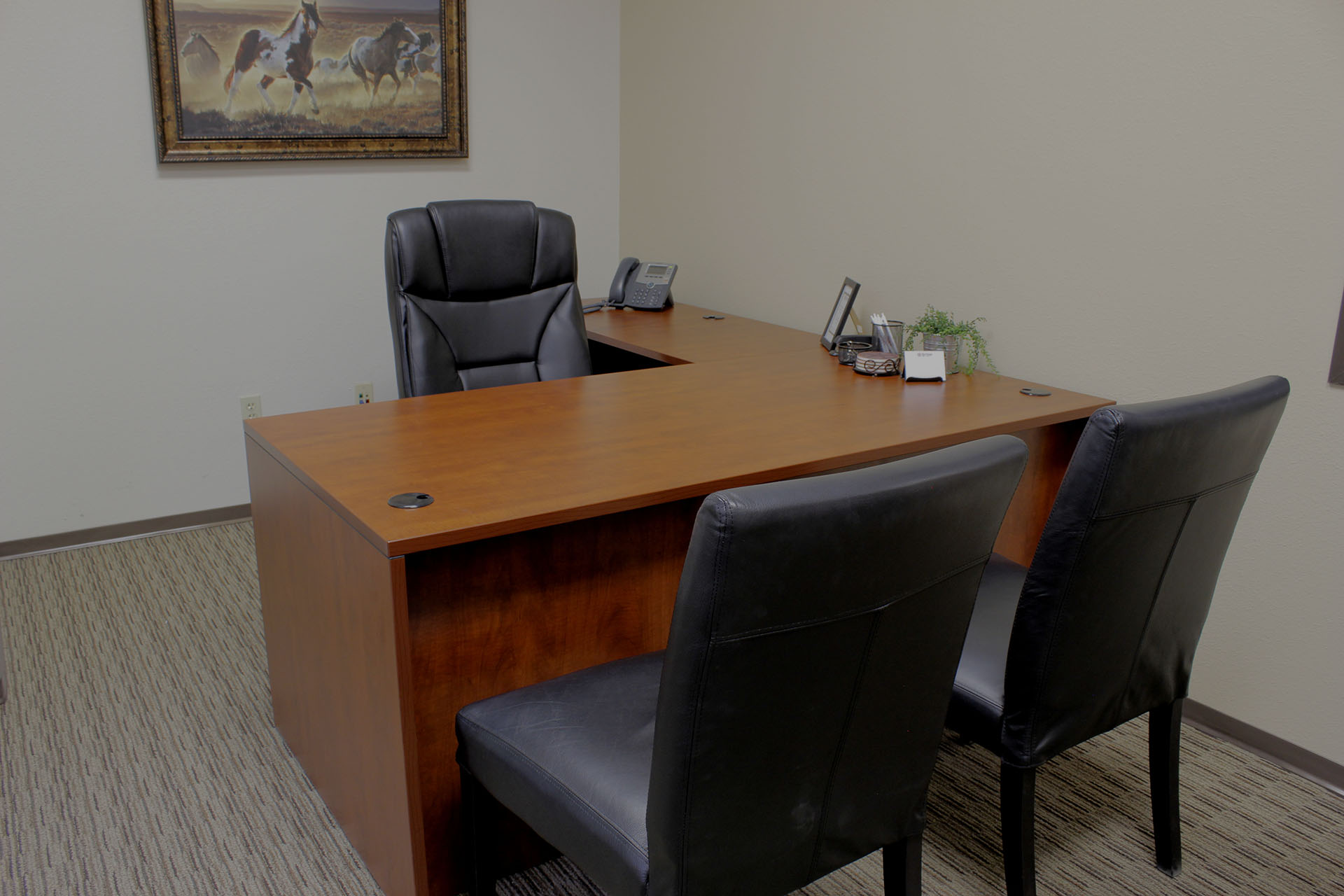Private Office To Rent, Austin, 78664 – photo 4