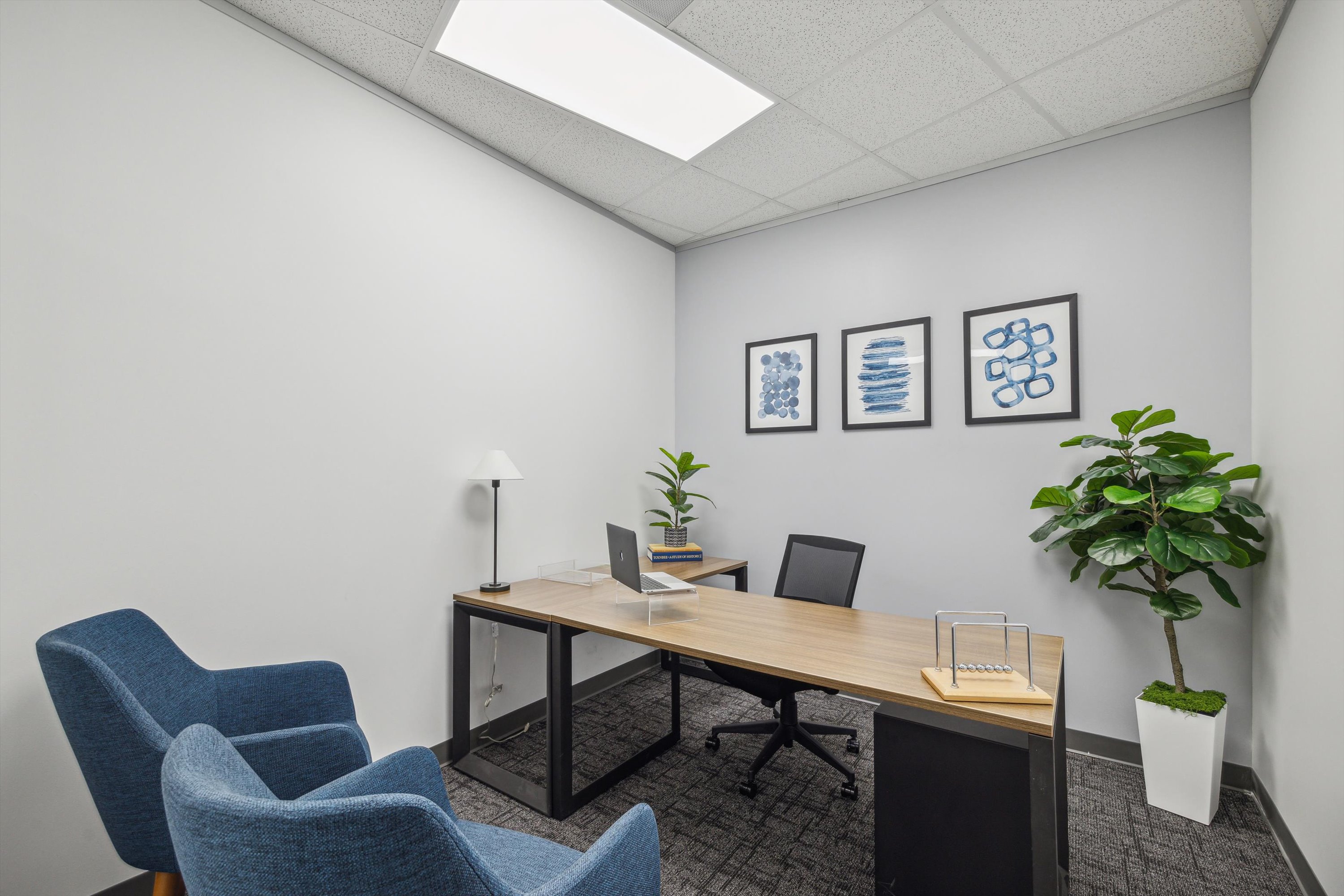 Private Office To Rent, Houston, 77381 – photo 3