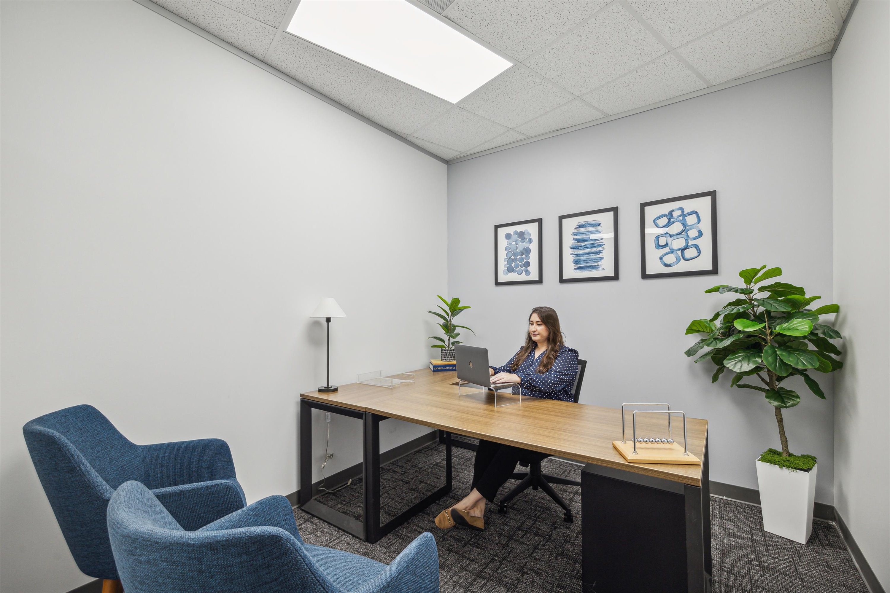 Private Office To Rent, Houston, 77381 – photo 2