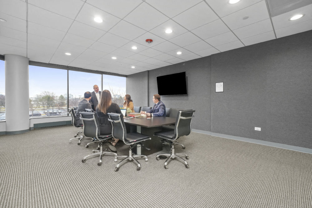 Private Office To Rent, Chicago, 60173 – photo 2