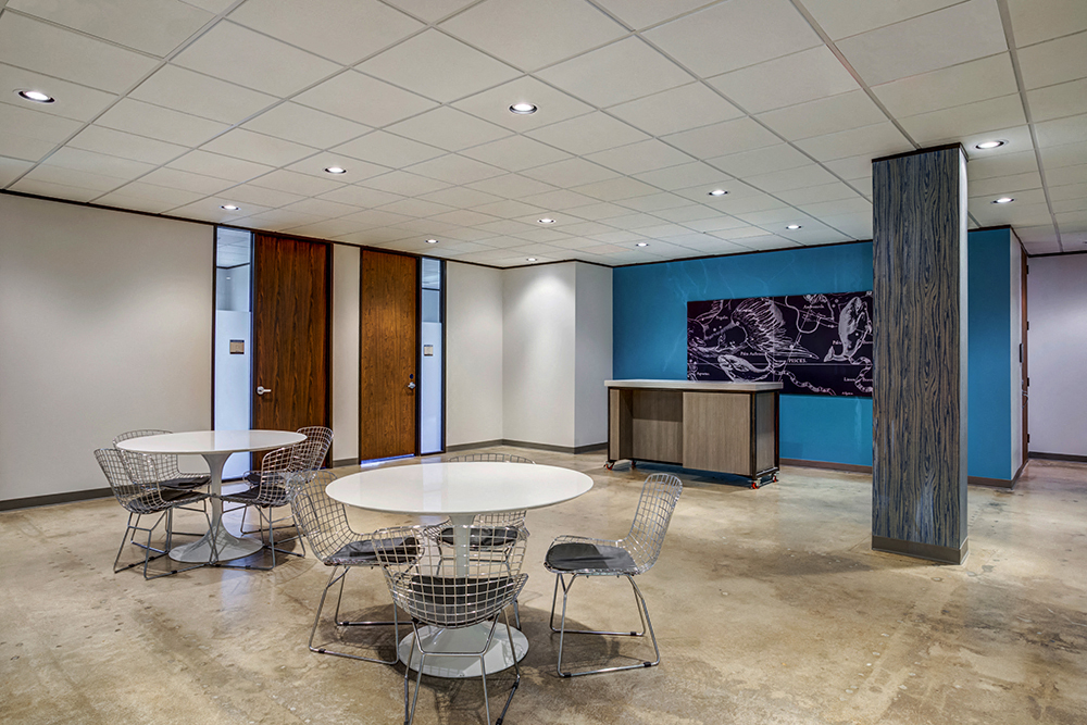 Private Office To Rent, Houston, 77057 – photo 6