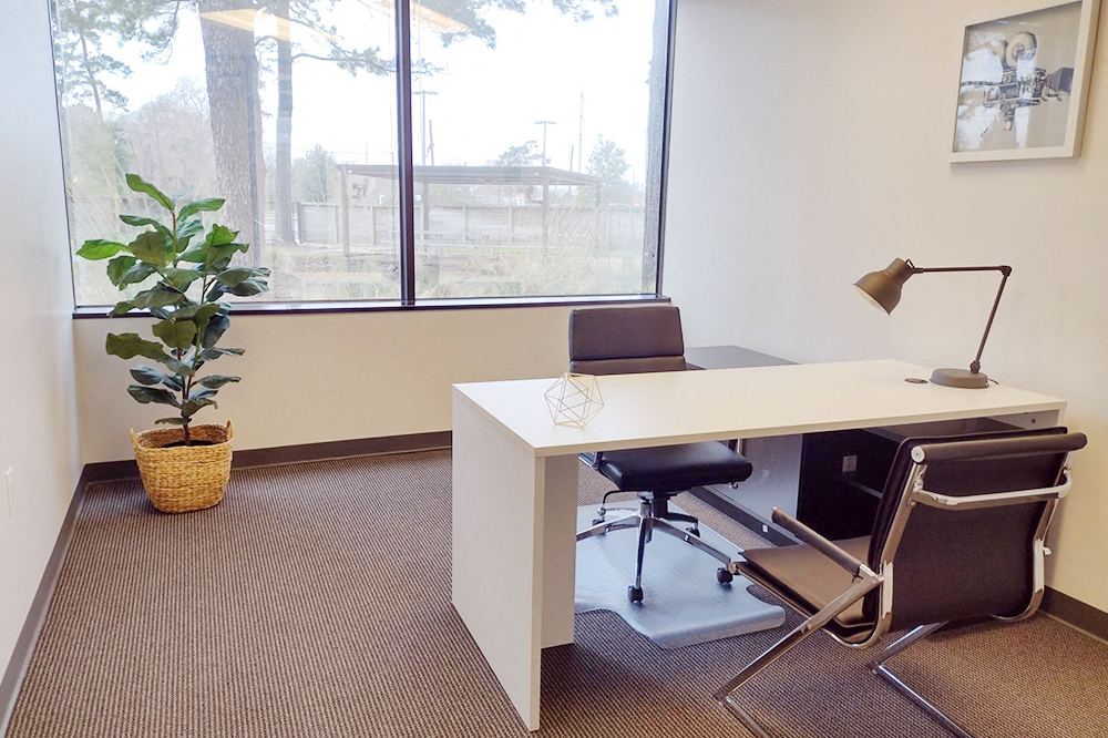 Private Office To Rent, Houston, 77007 – photo 6