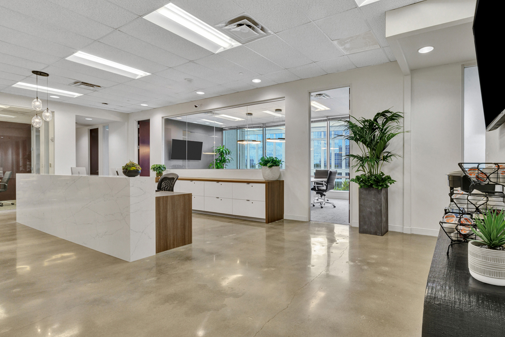 Private Office To Rent, Dallas, 75034 – photo 4