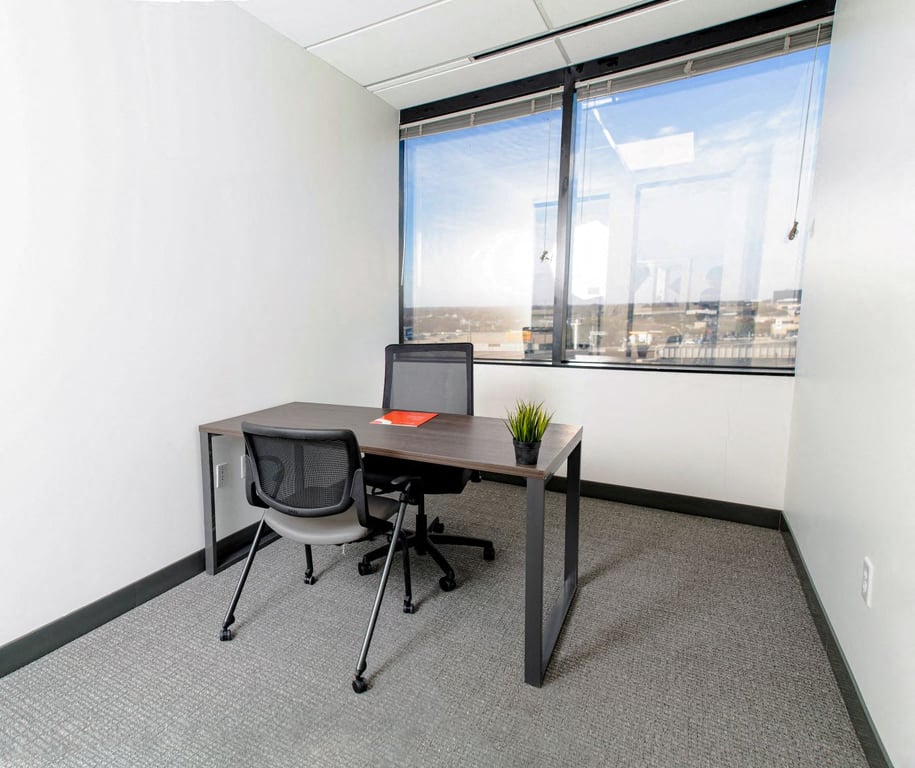 Private Office To Rent, Dallas, 75074 – photo 3