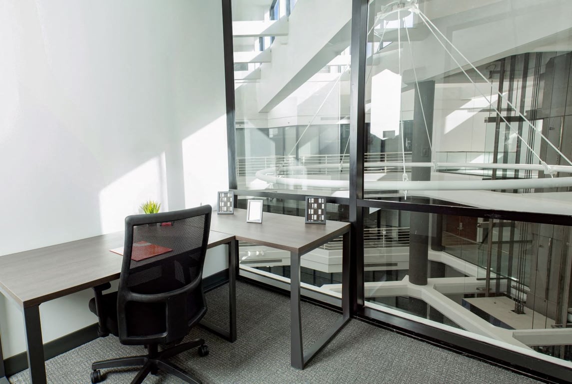 Private Office To Rent, Dallas, 75074 – photo 2