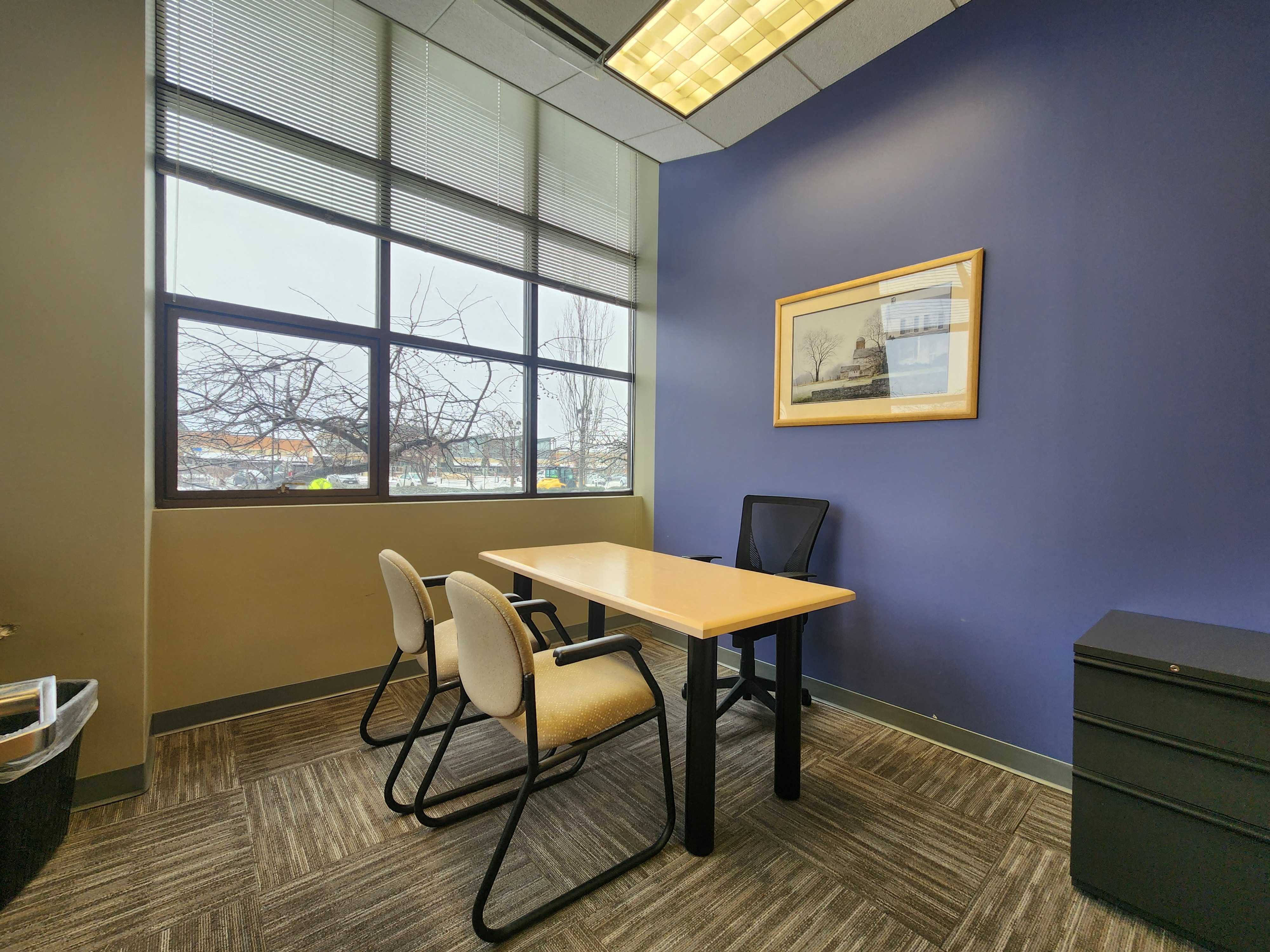 Private Office To Rent, Chicago, 60069 – photo 3