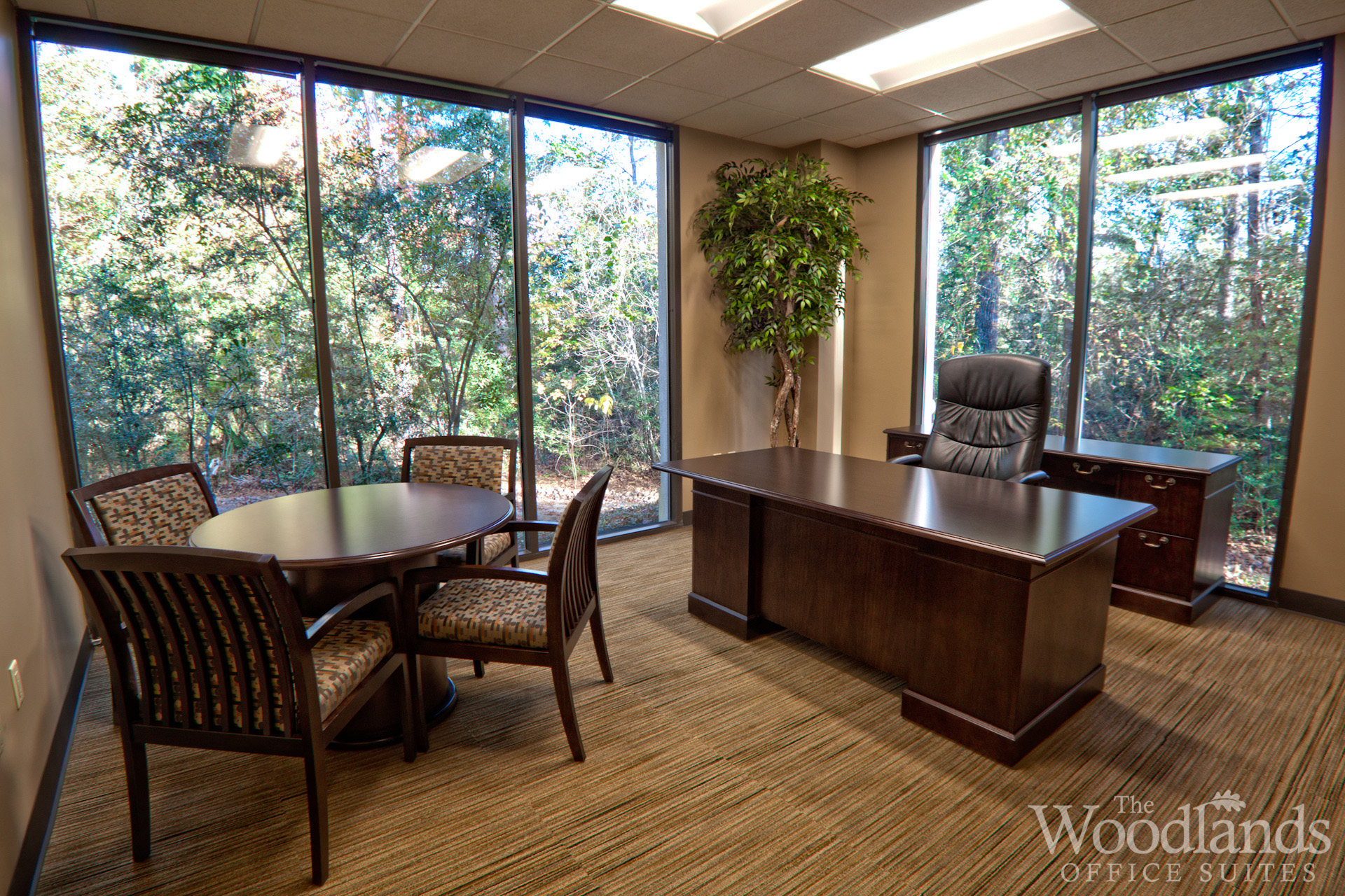 Private Office To Rent, Houston, 77380 – photo 1